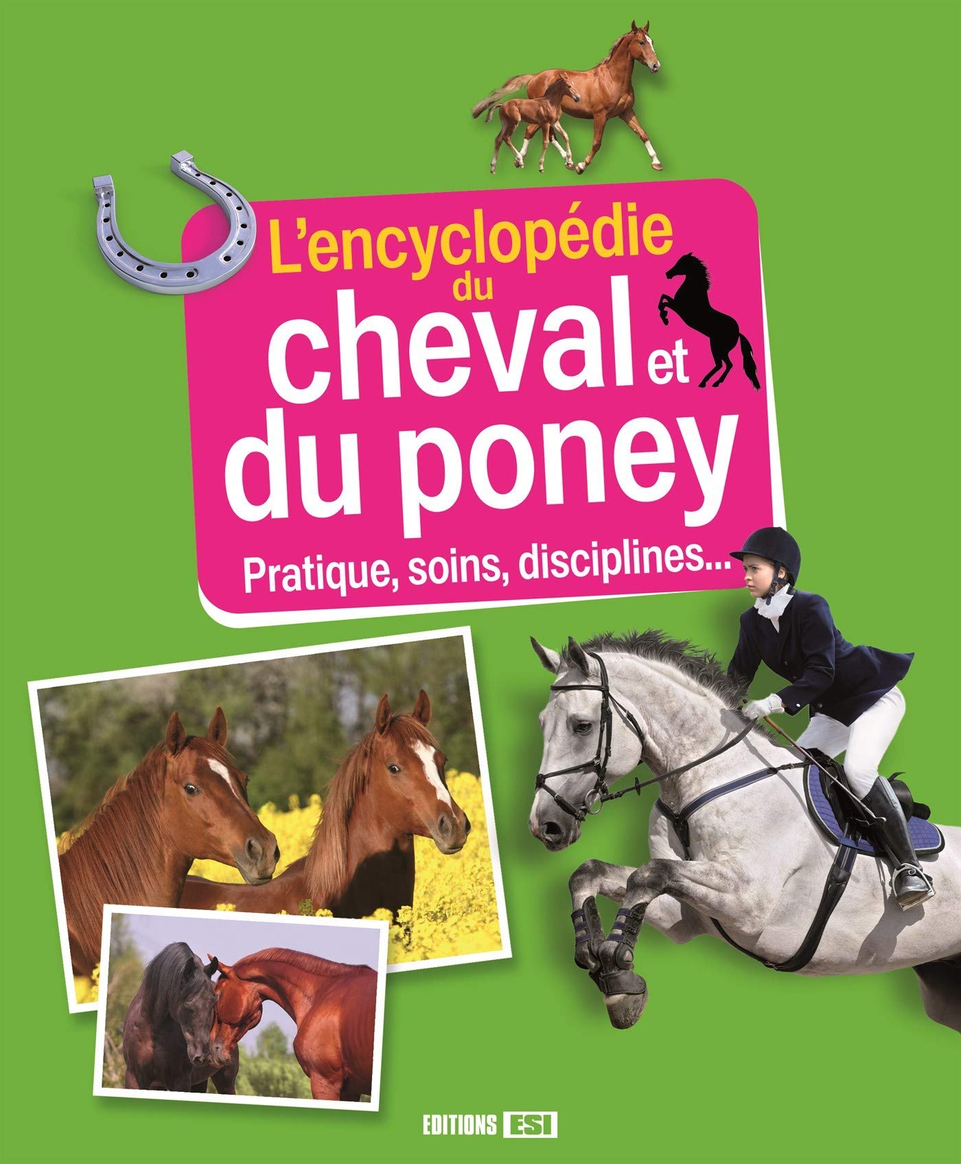L'encyclopédie du cheval et du poney: Pratiques, soins, disciplines... book