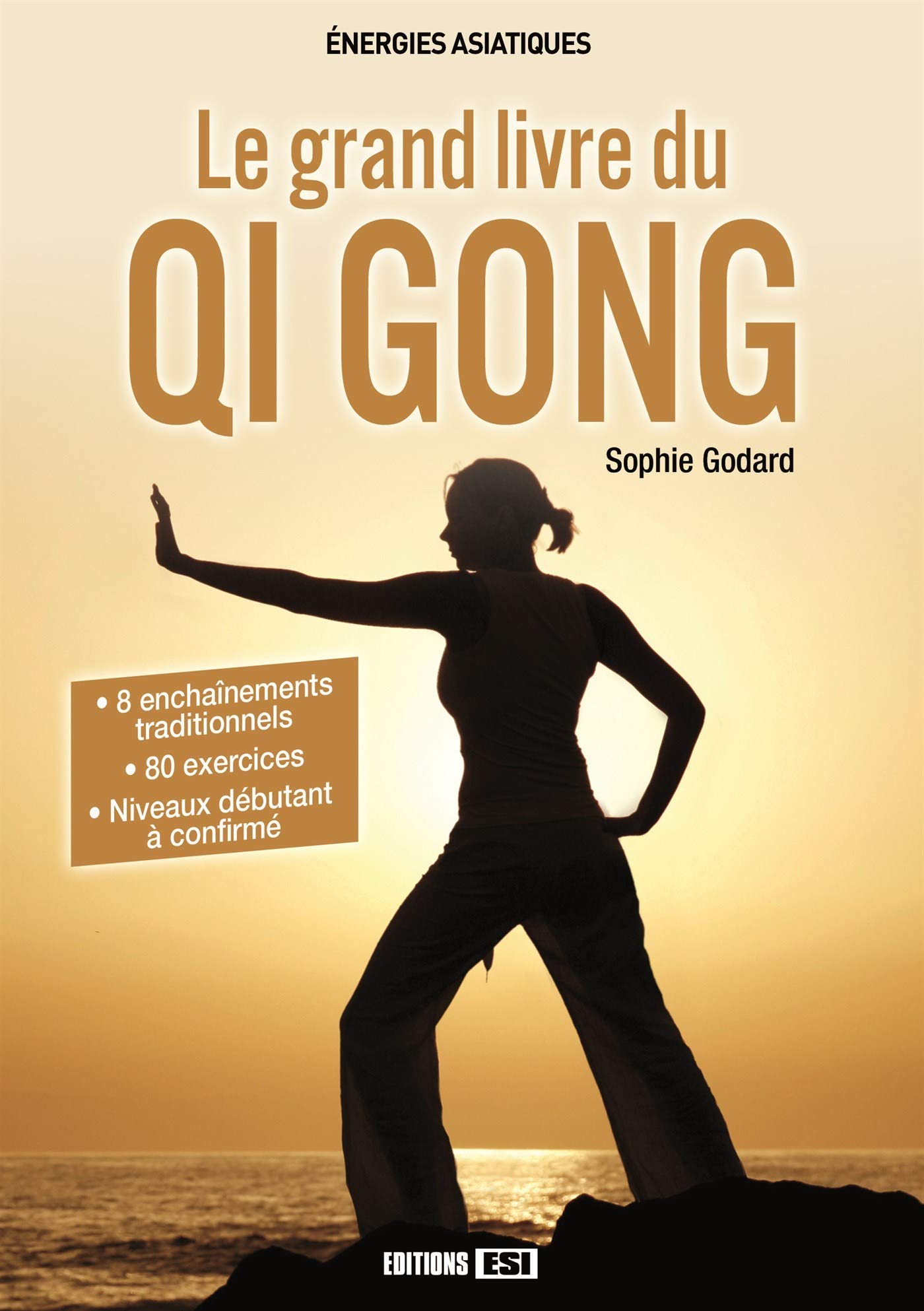 grand livre du qi gong (le) (0) book