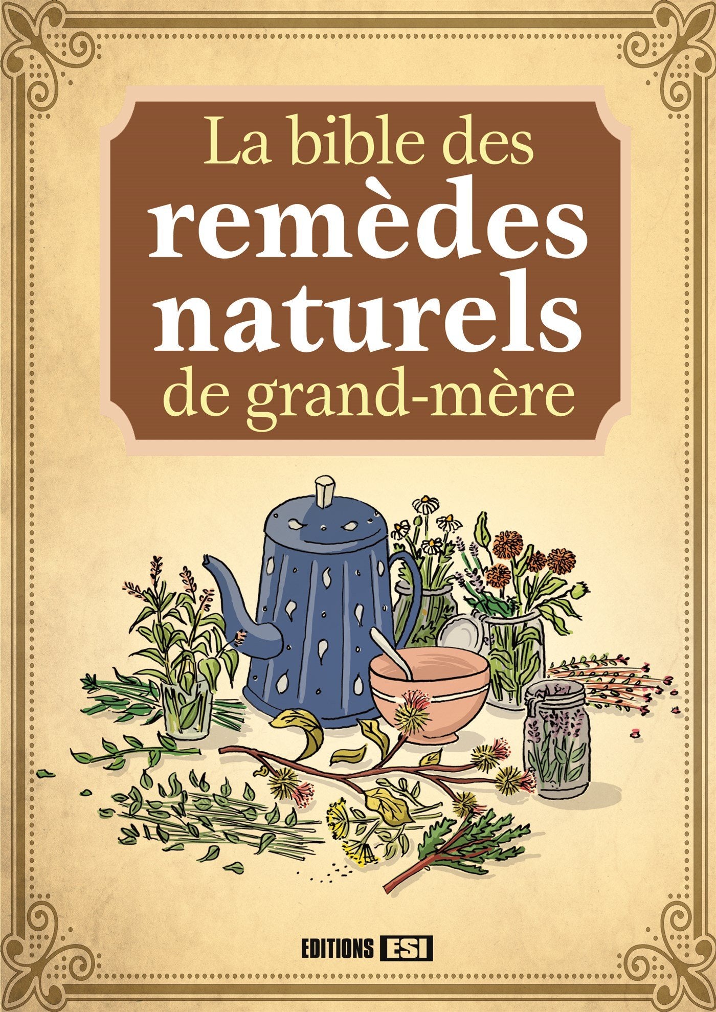 La bible des remèdes naturels de grand-mère book