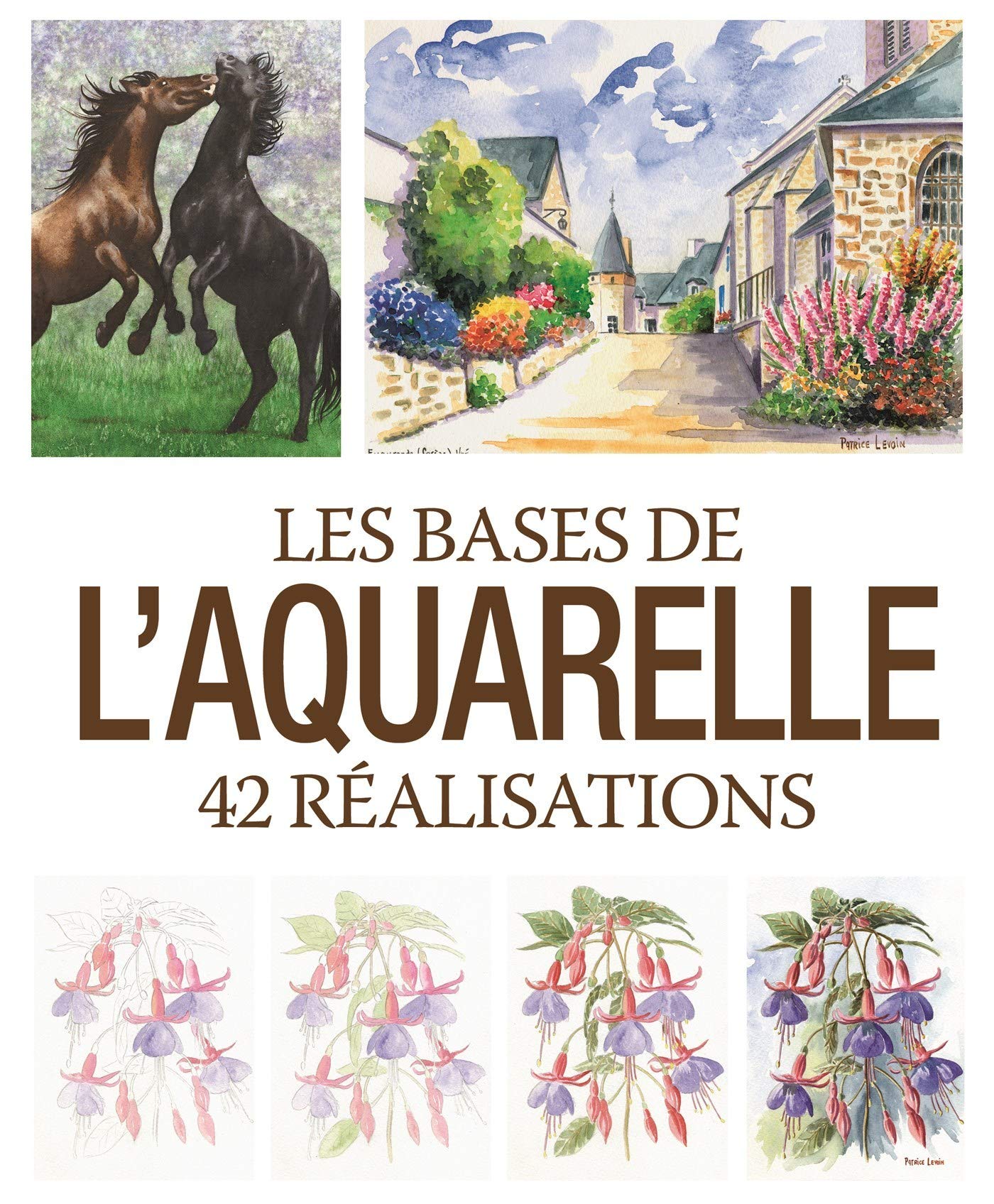 bases de l'aquarelle - 42 realisations (les) (0) book