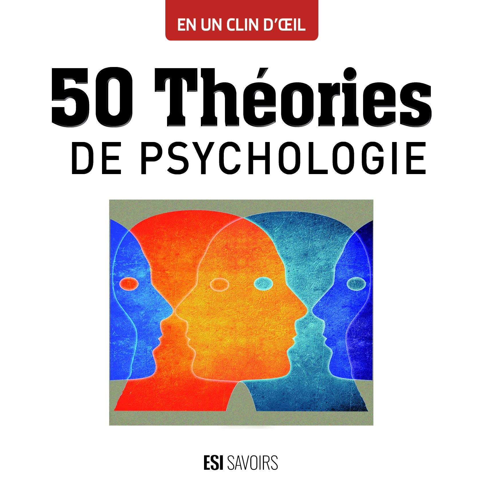 50 théories de psychologie book
