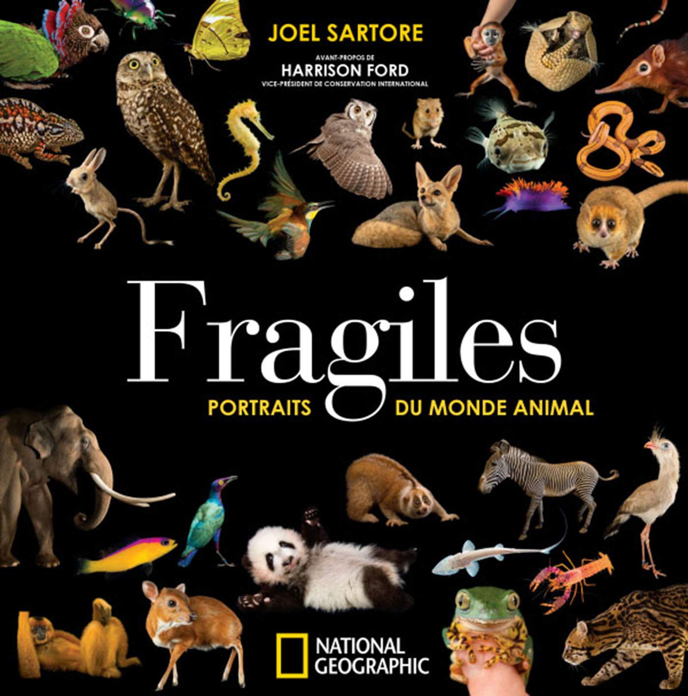 Fragiles - portraits du monde animal Film, Art & Culture