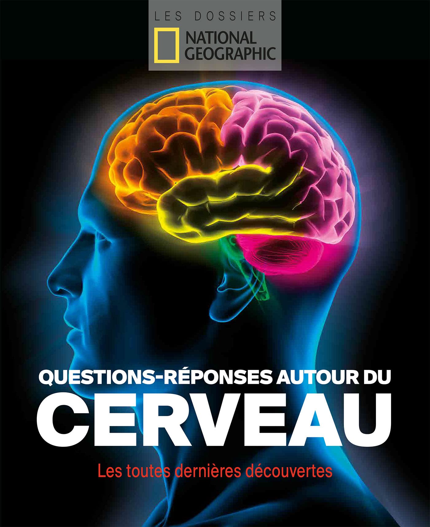 Questions-réponses autour du cerveau: Les toutes dernières découvertes Philosophy
