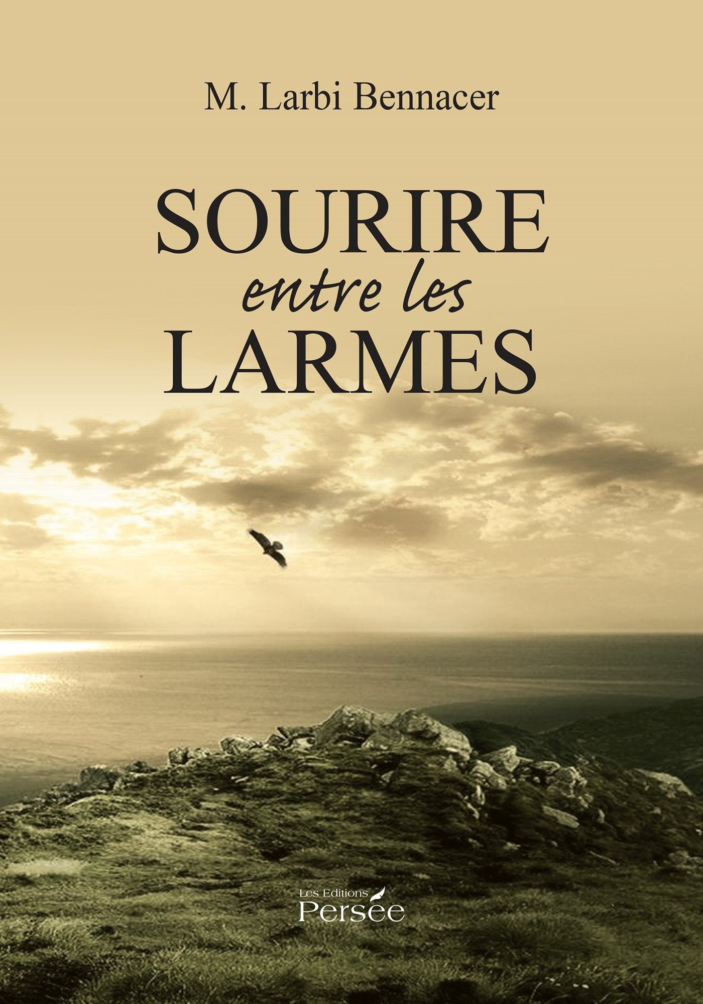 Sourire entre les larmes book