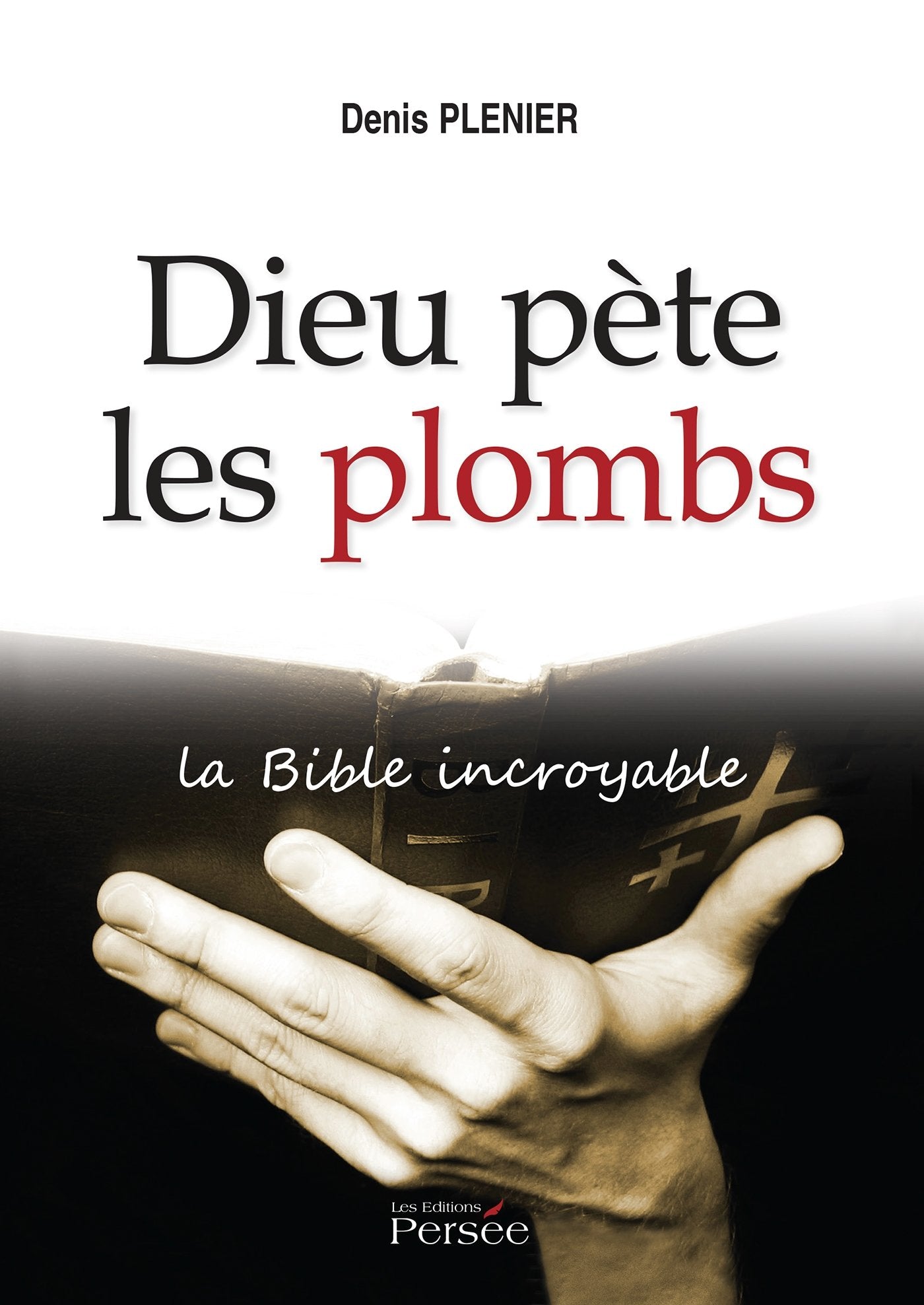 Dieu pète les plombs: La Bible incroyable book