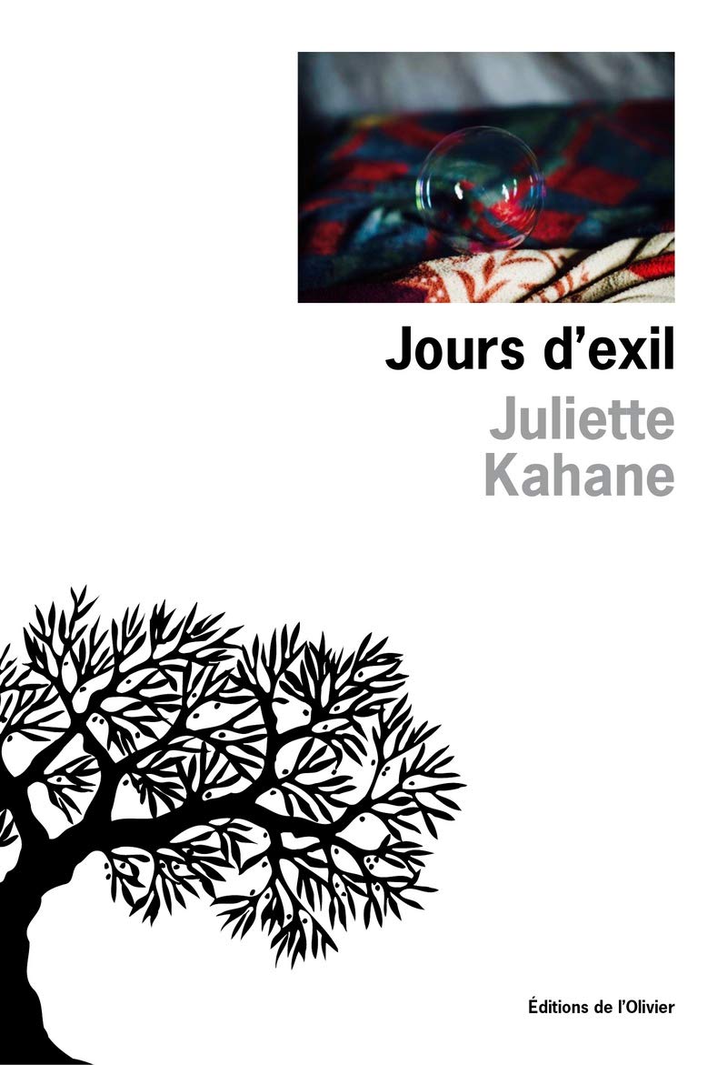 Jours d'exil: Une saison au lycée Jean-Quarré Contemporary literature