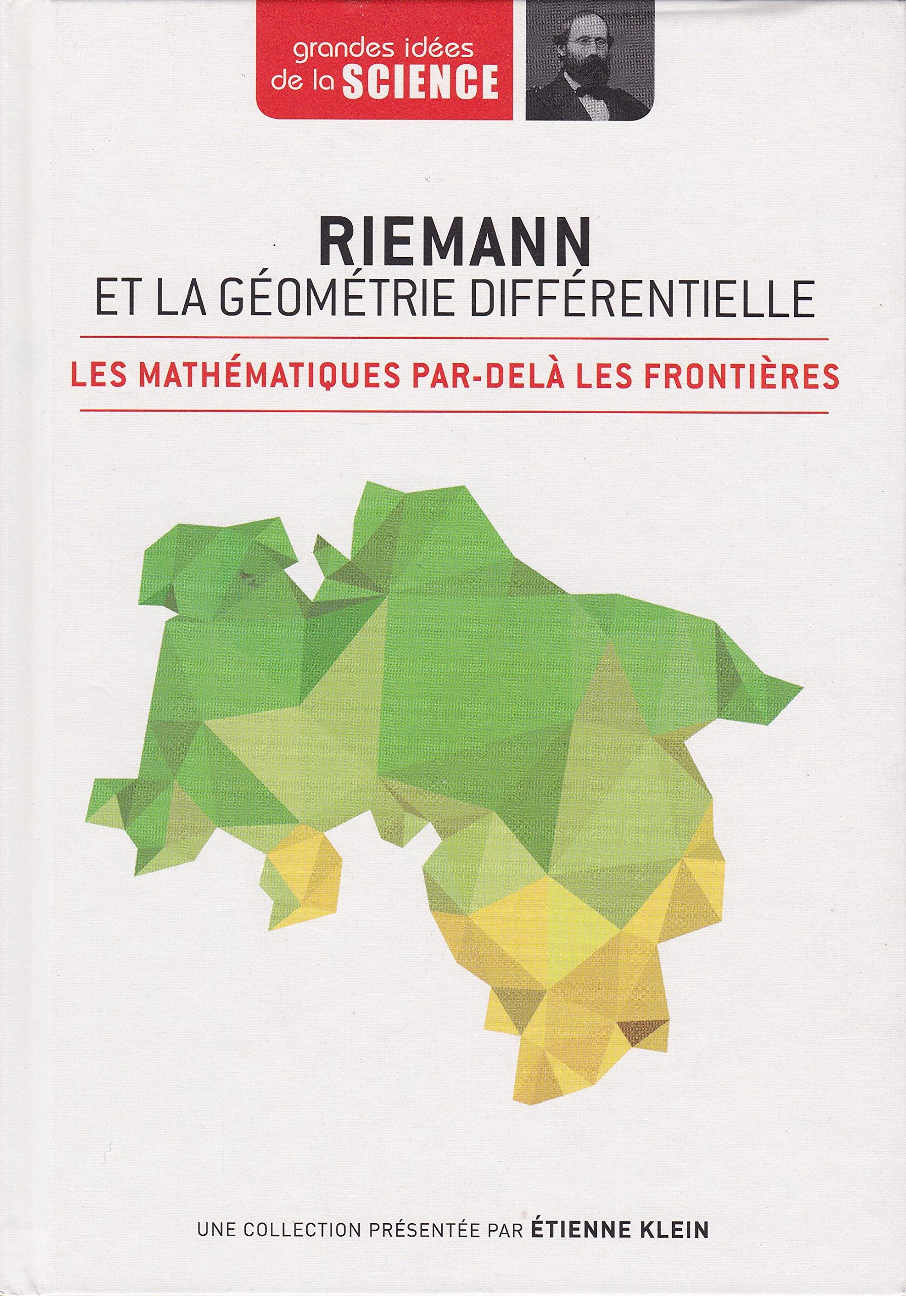 Riemann et la géométrie différentielle. Les mathématiques par-delà les frontières - Grandes idées de la Science n° 41 book