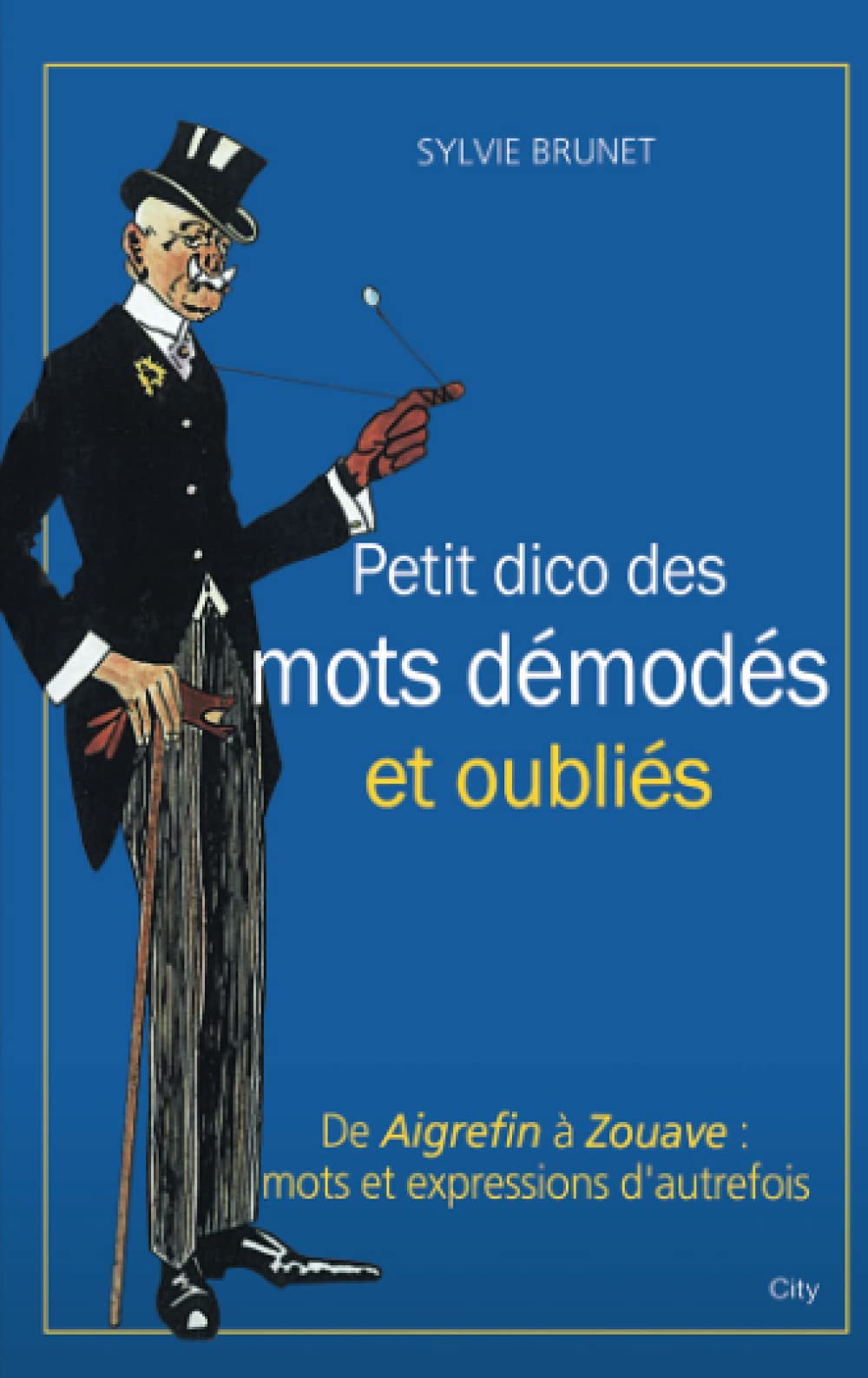 Petit dictionnaire des mots démodés et oubliés Contemporary literature
