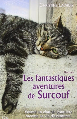 Les fantastiques aventures de Surcouf Contemporary literature