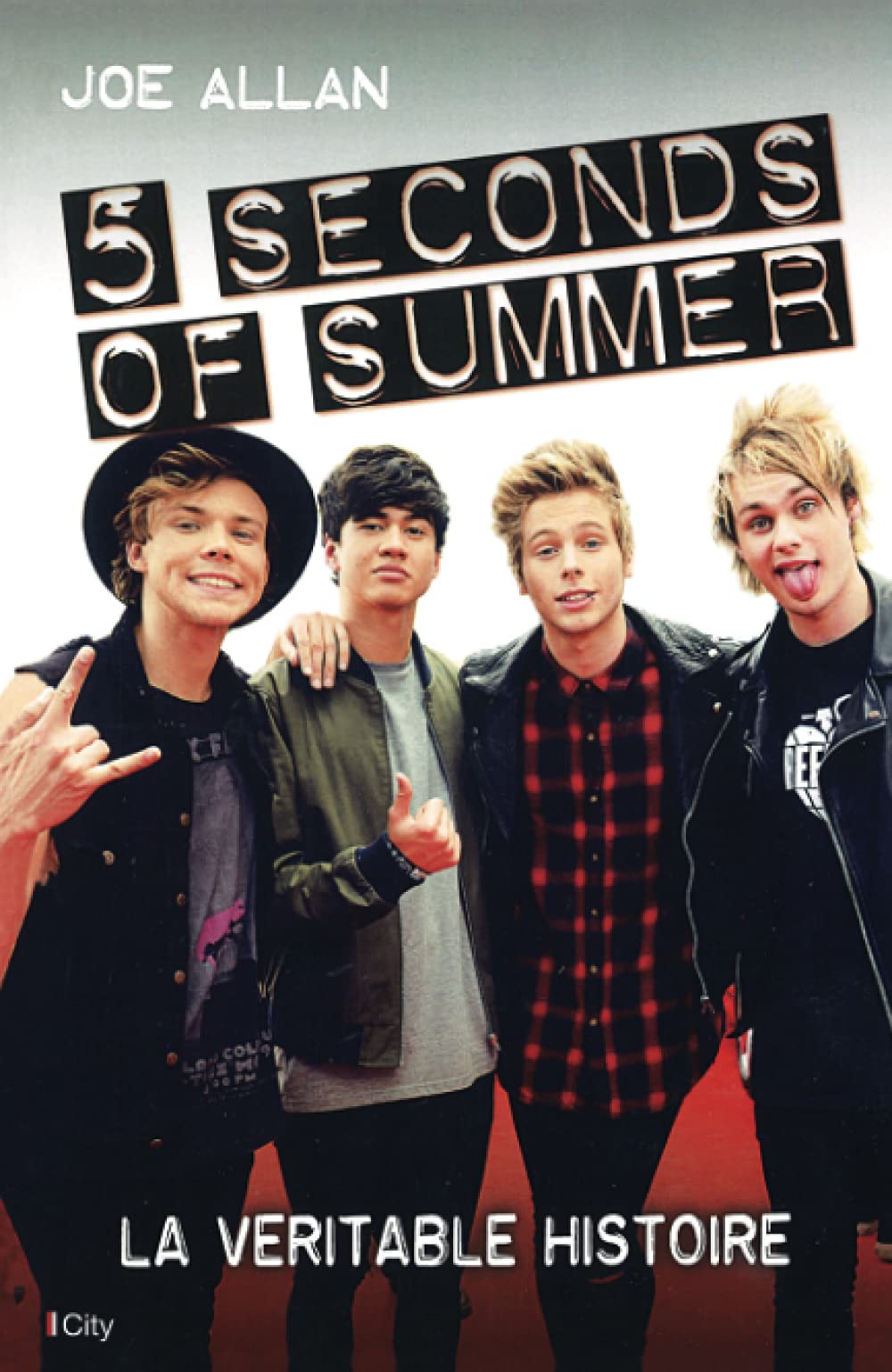 5 seconds of summer: La véritable histoire book