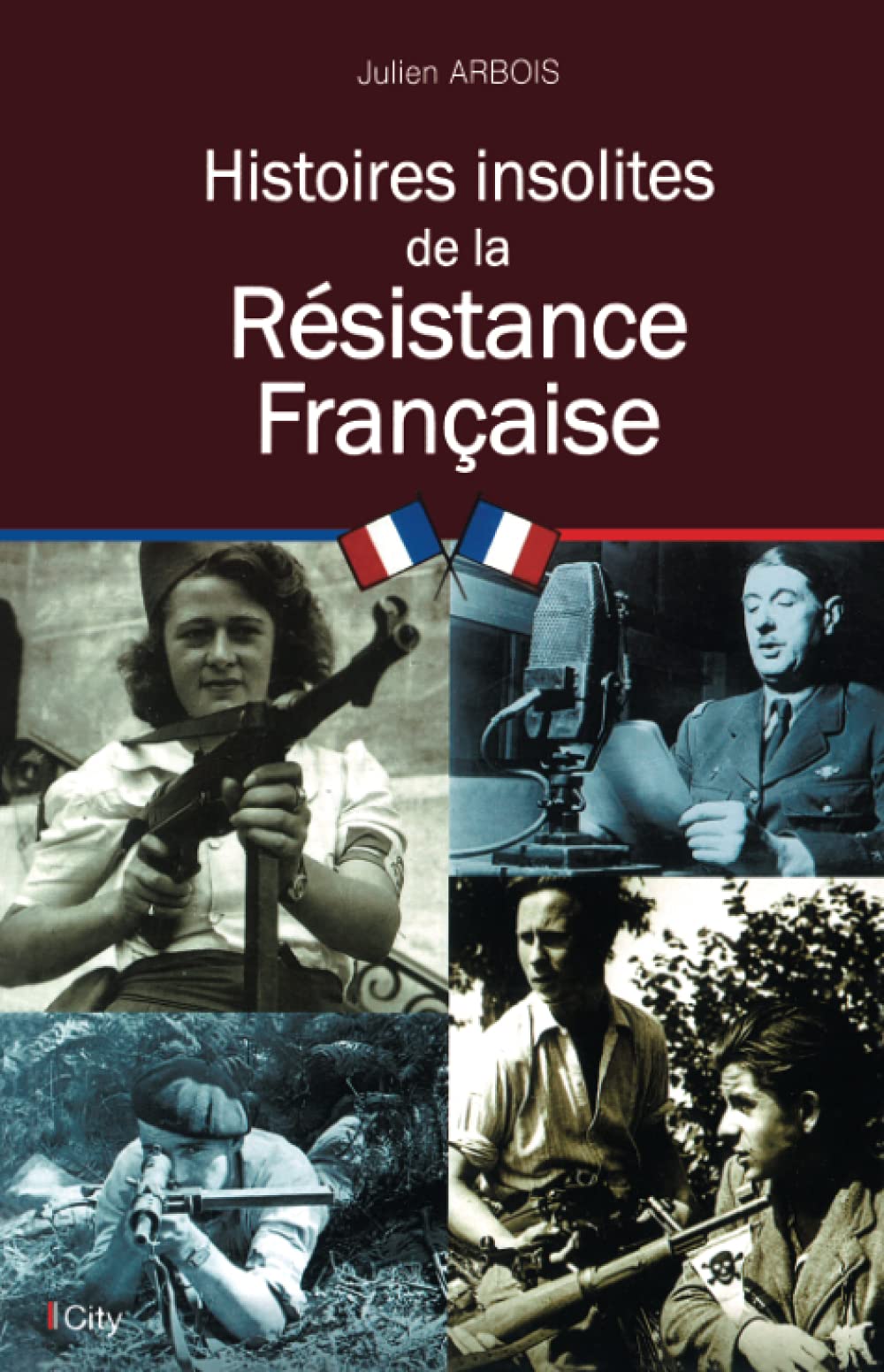 HISTOIRES INSOLITES DE LA RESISTANCE book