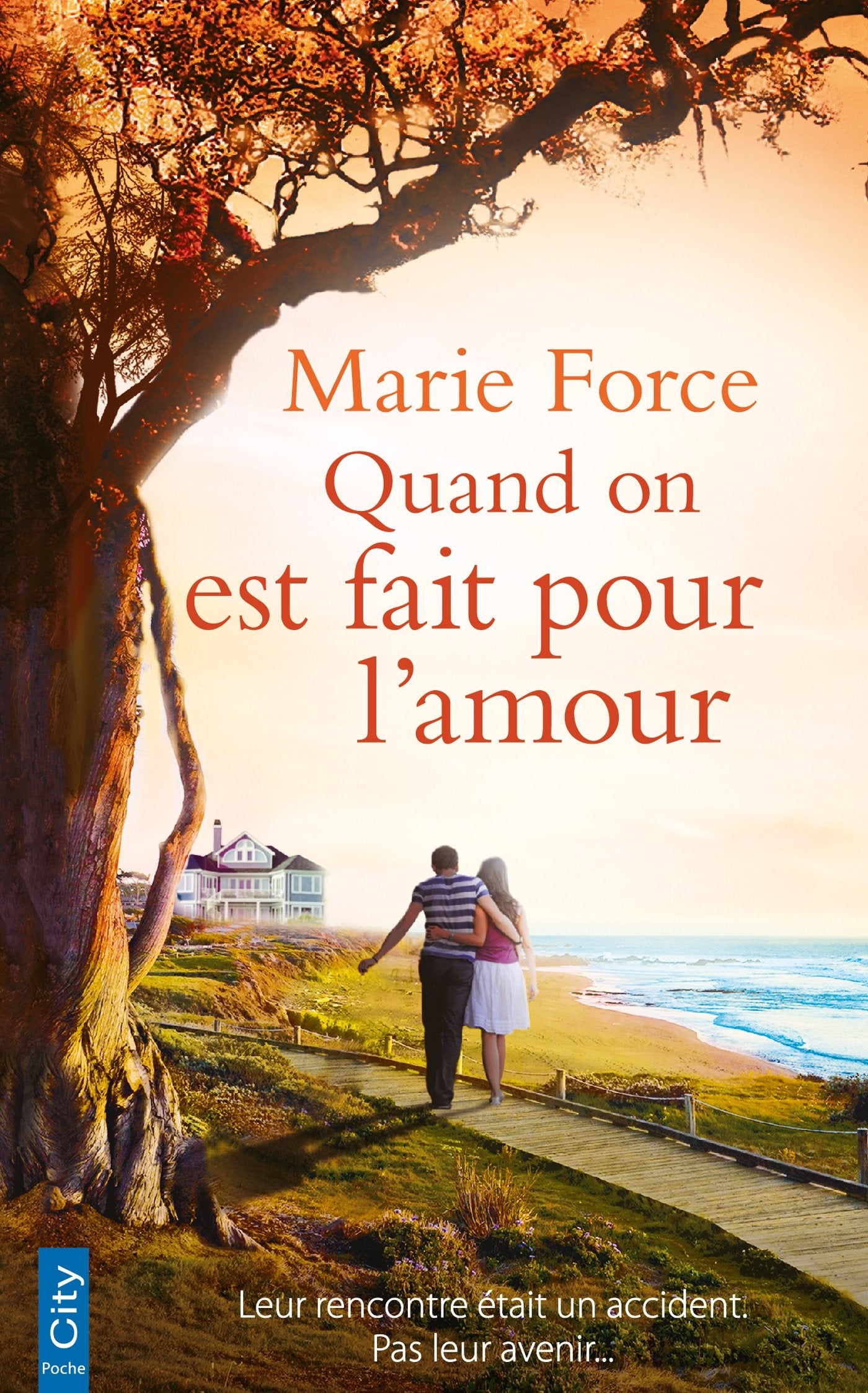 Quand on est fait pour l'amour Contemporary literature