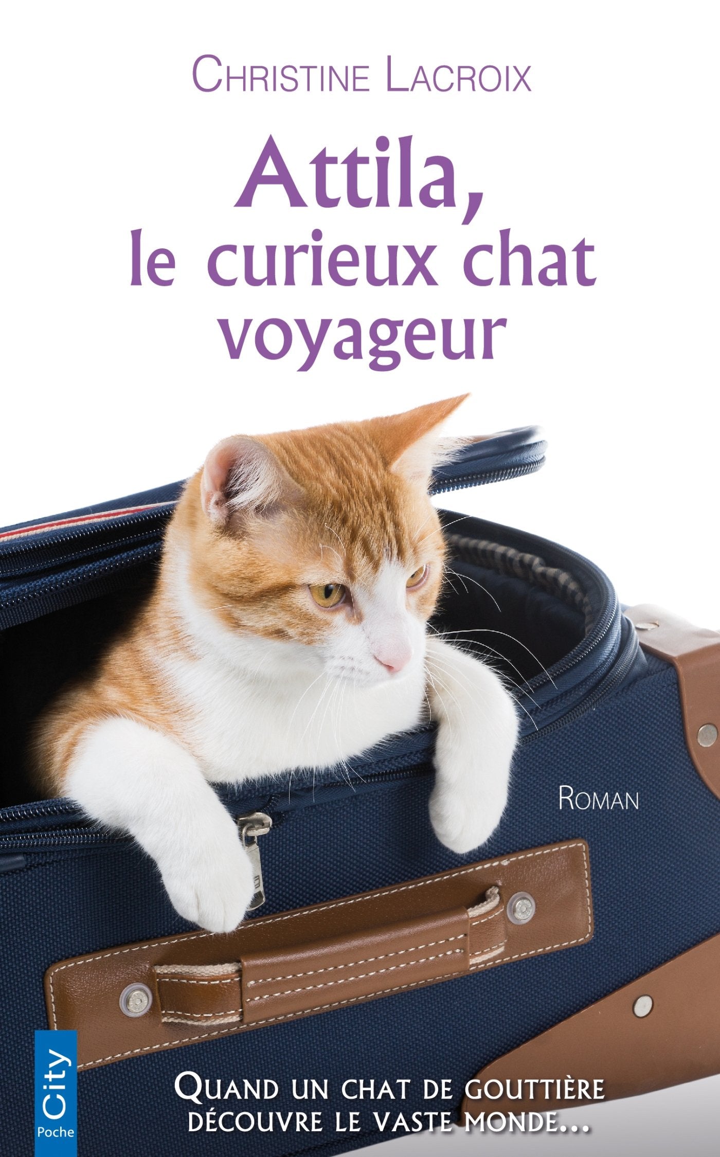 Attila, le curieux chat voyageur book