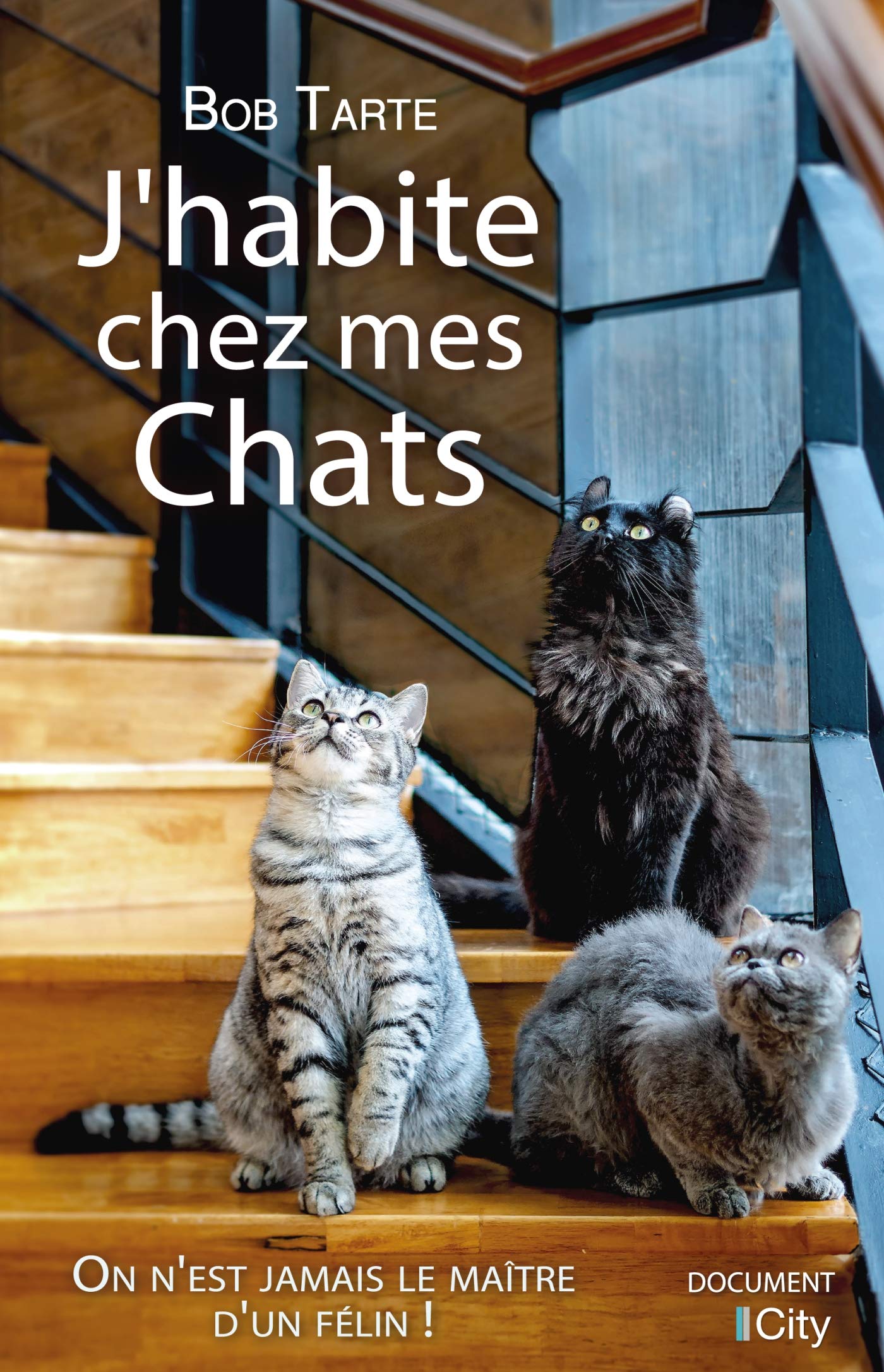 J'habite chez mes chats book