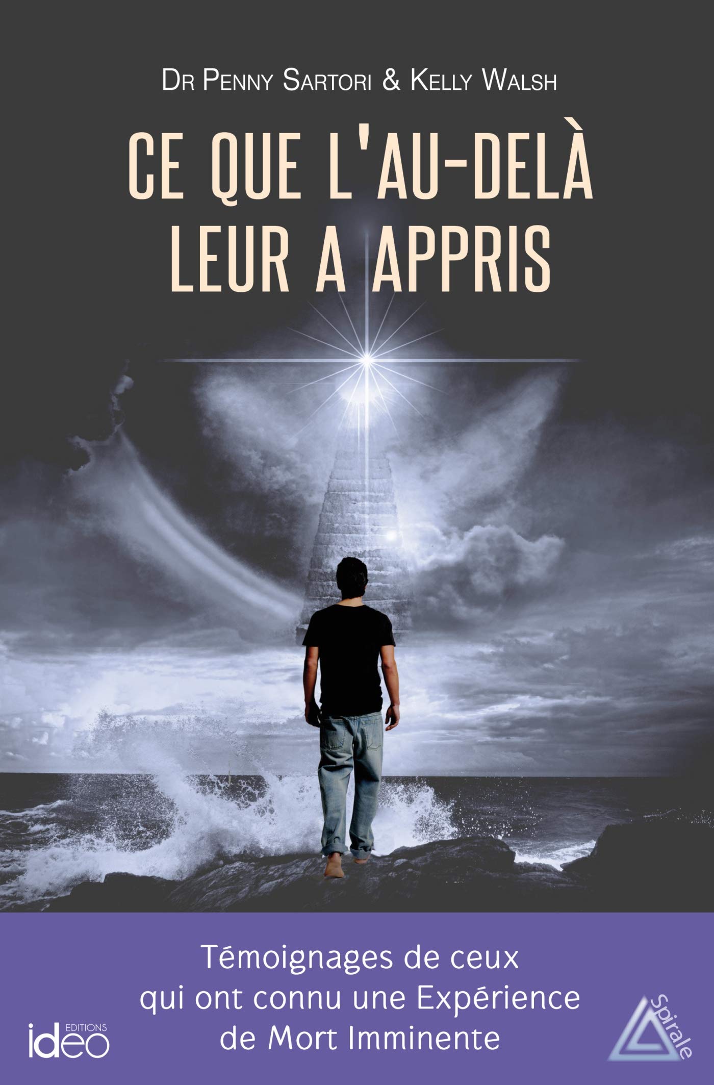 Ce que l'au-delà leur a appris book