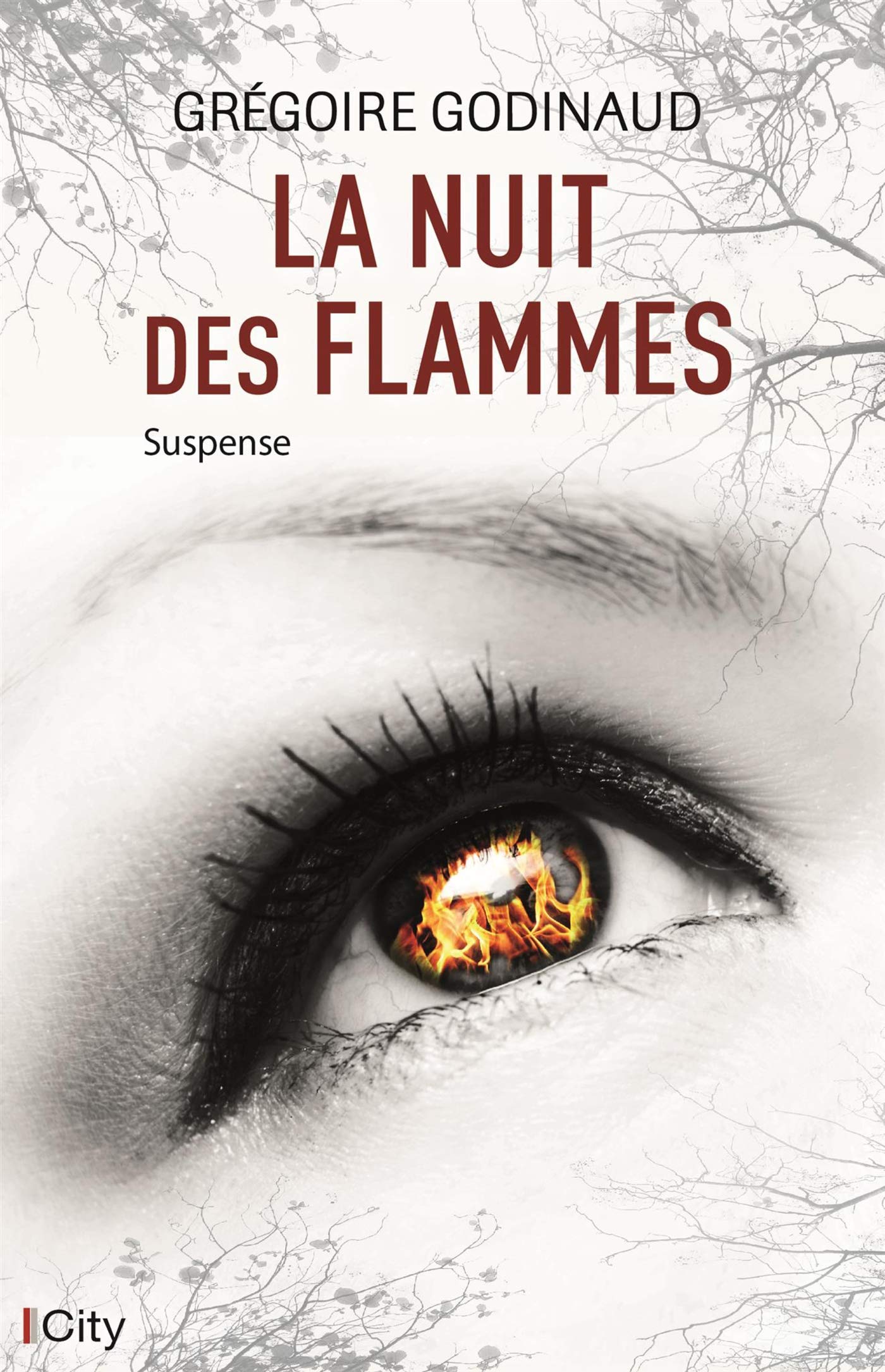 La nuit des flammes book