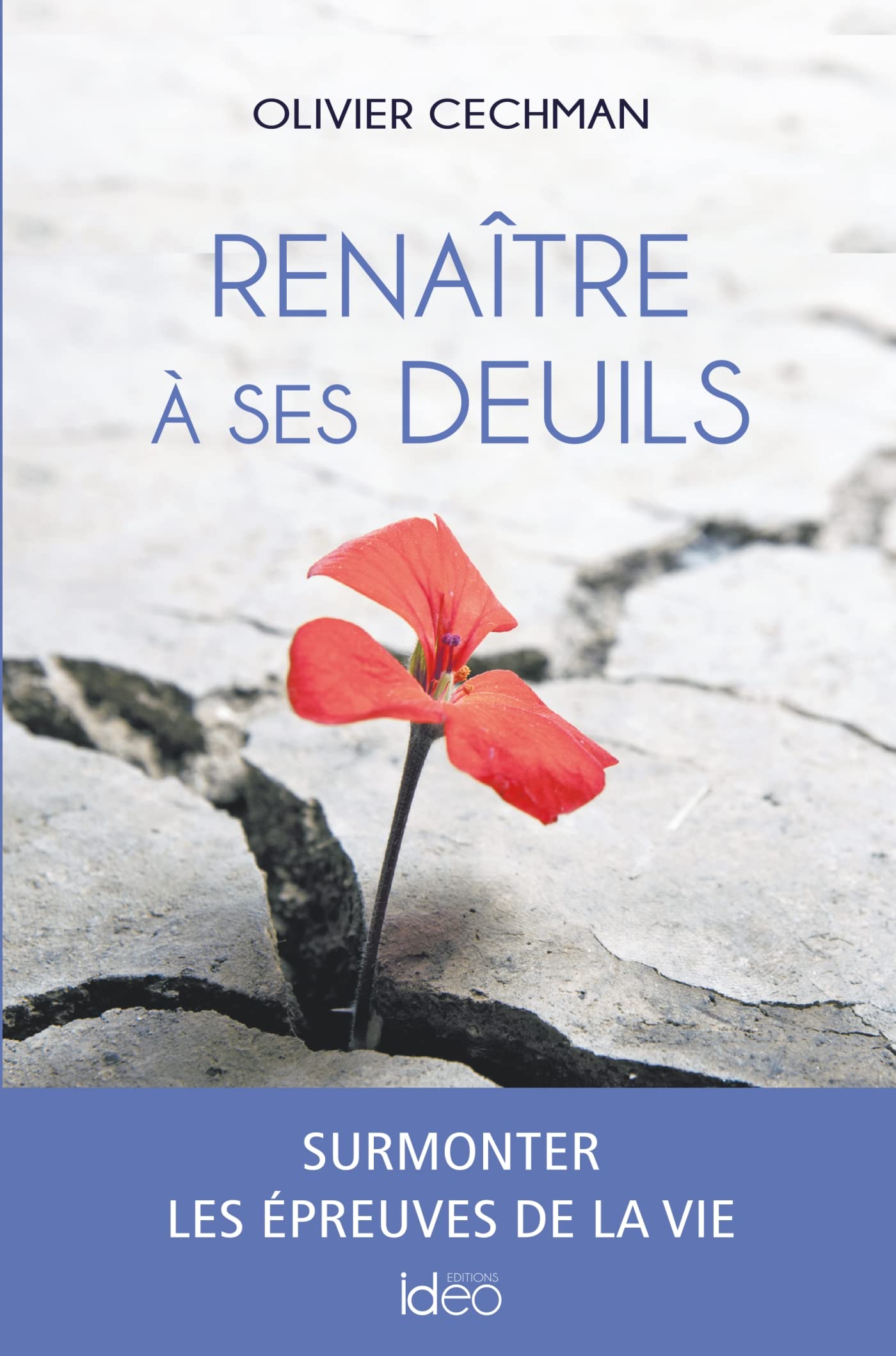 Renaître à ses deuils: Surmonter les épreuves de la vie book