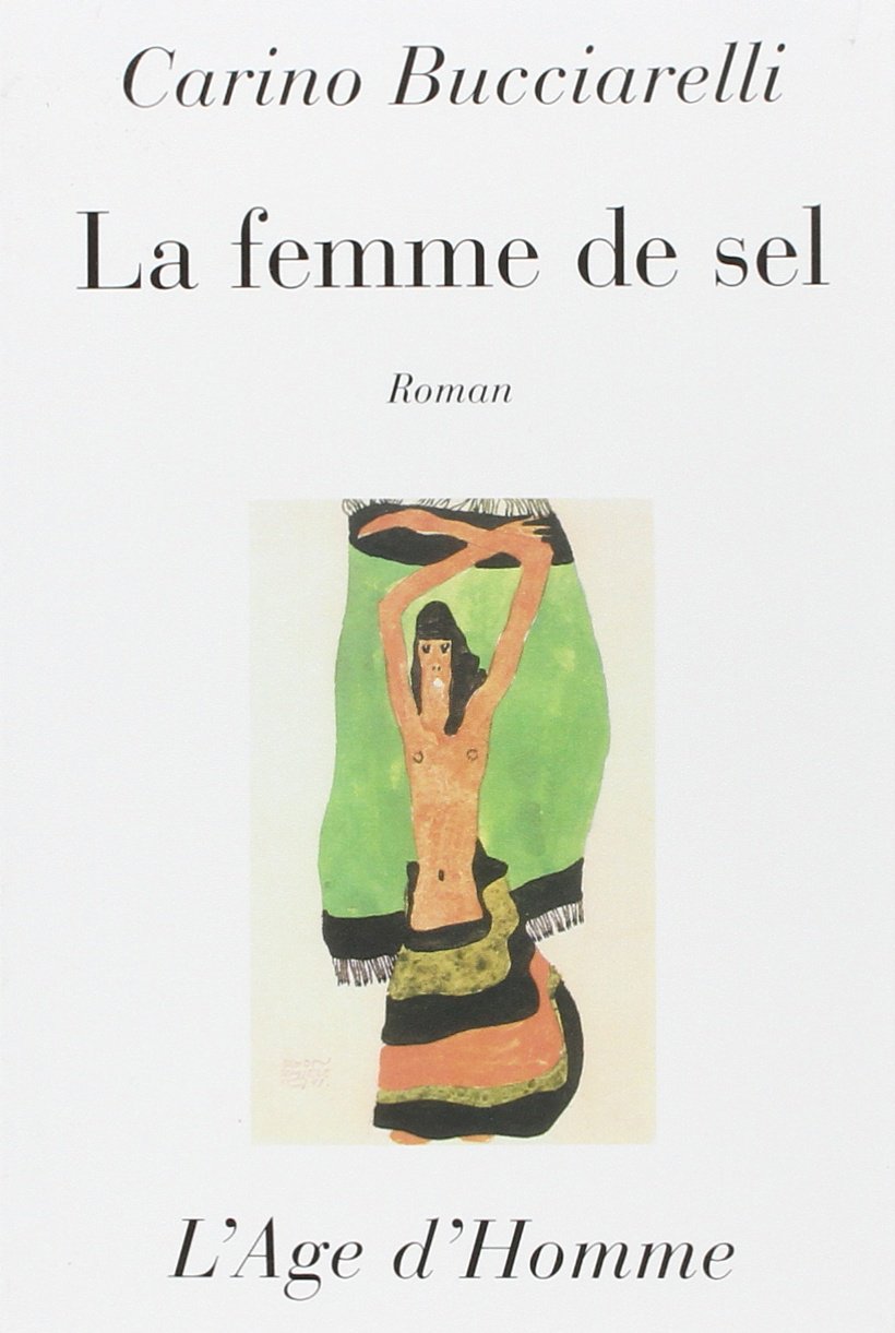 La femme de sel - roman Contemporary literature