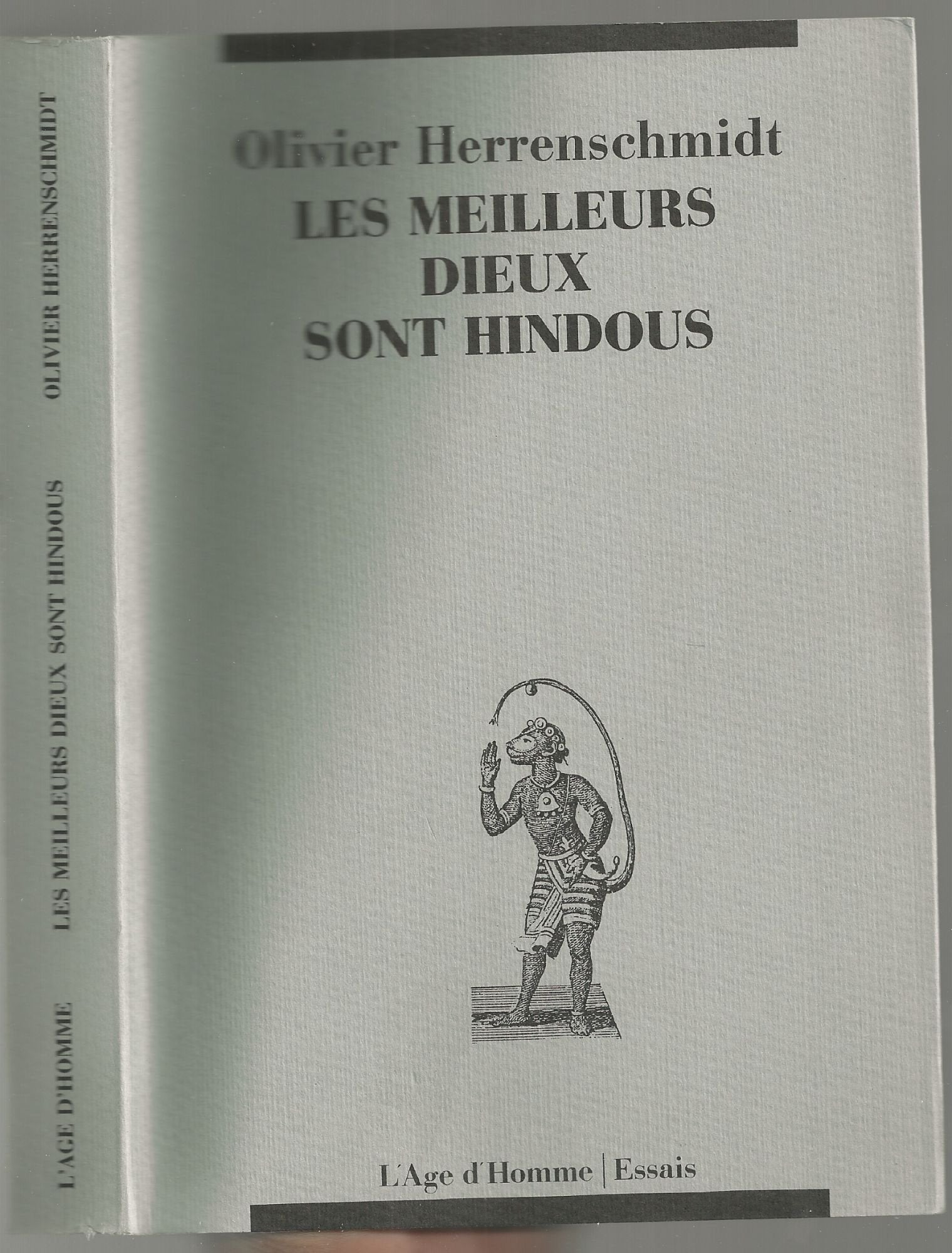 Les Meilleurs dieux sont hindous book