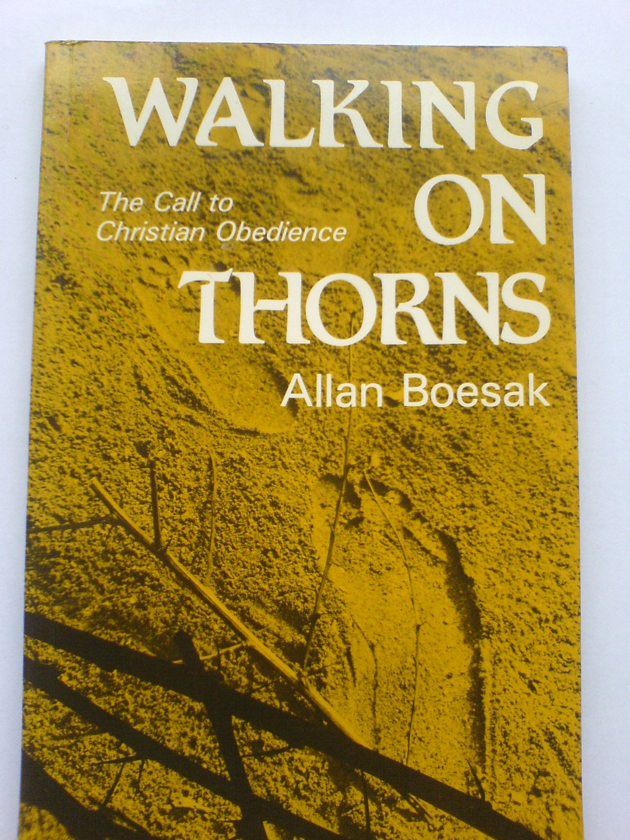 Walking on Thorns: Call to Christian Obedience Books