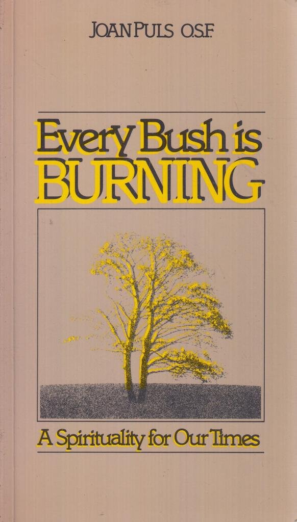 Every Bush is Burning: A Spirituality for Our Times Religion & Esotericism