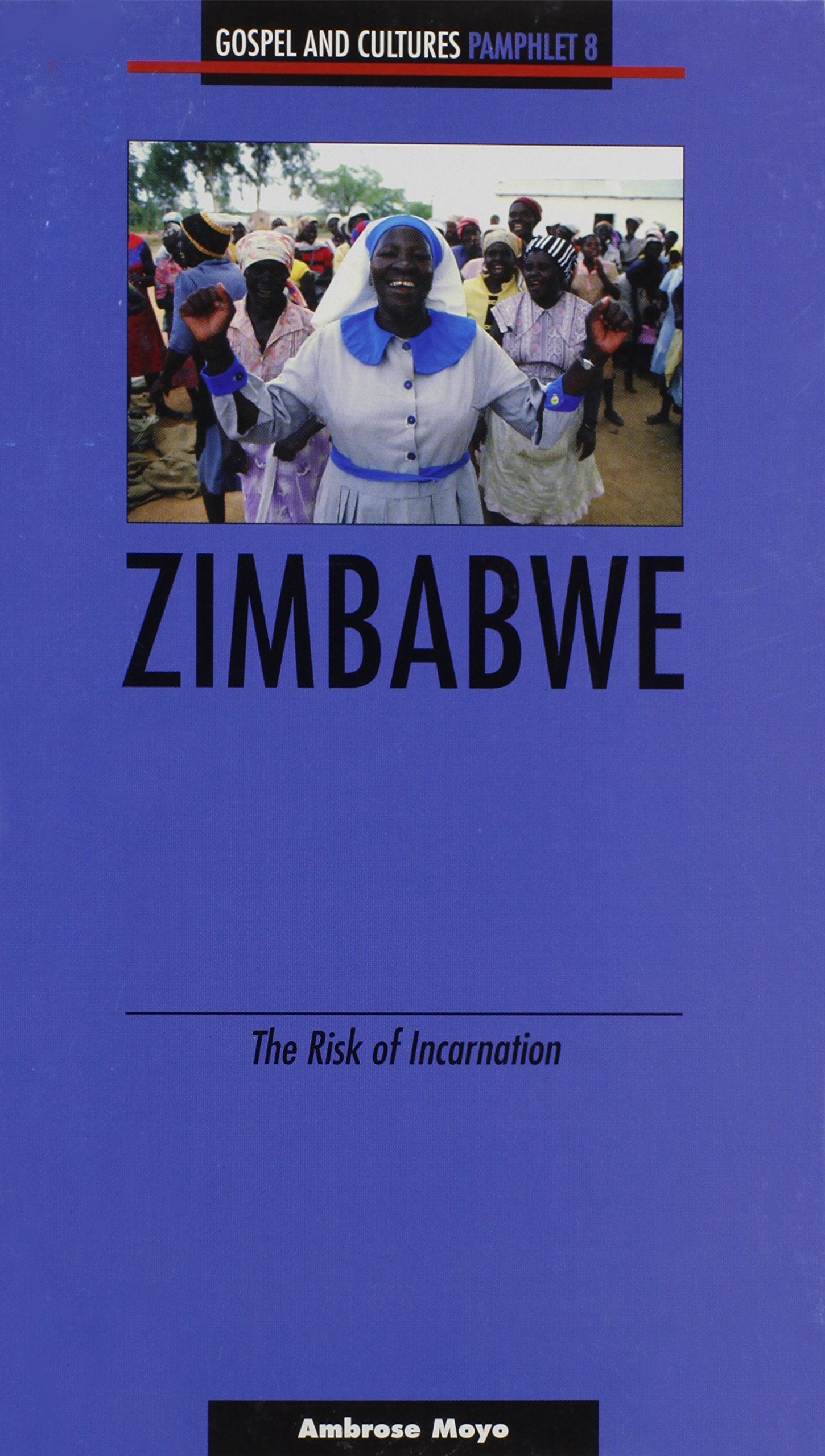 Zimbabwe: The Risk of Incarnation book