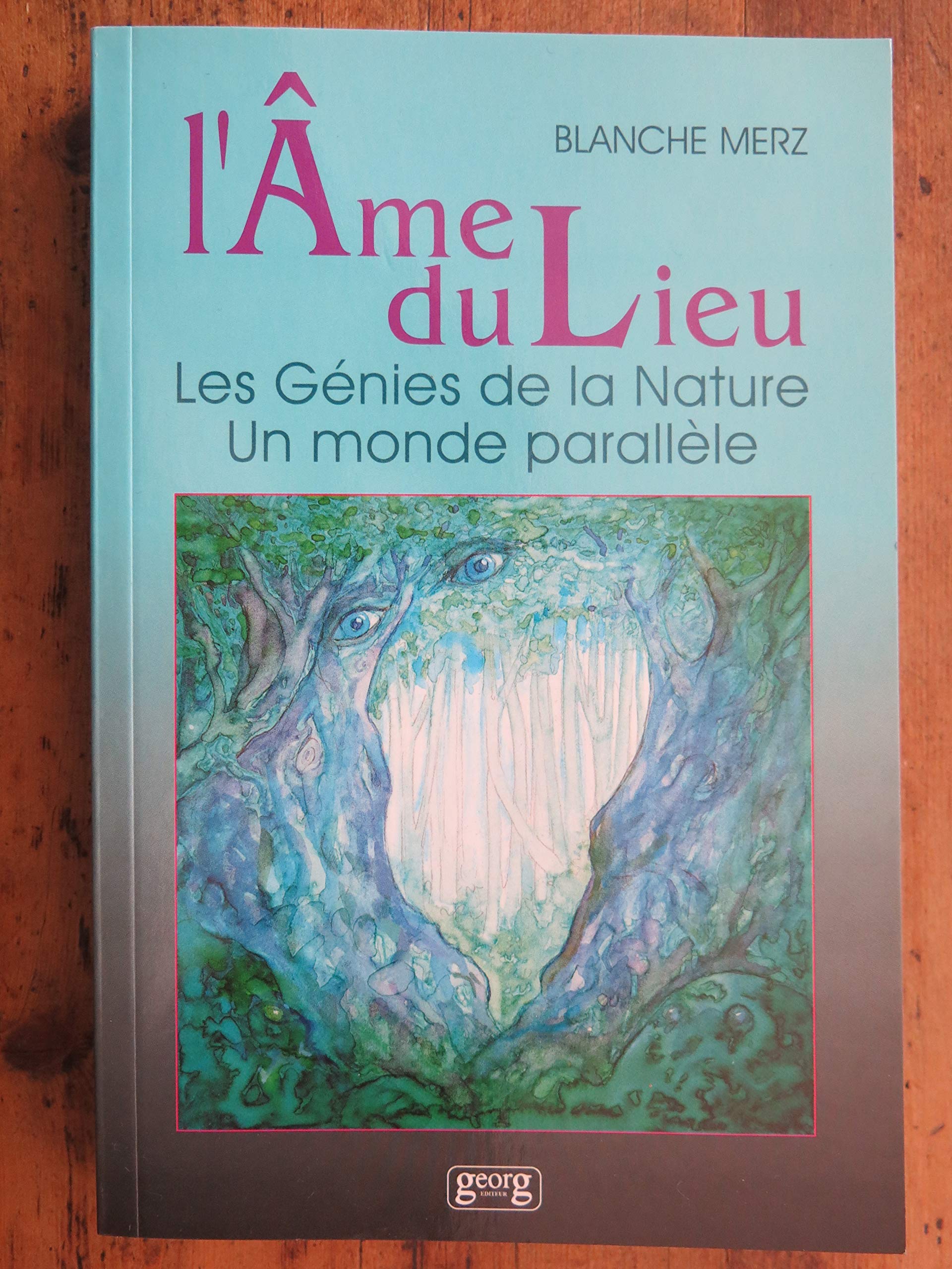 L'âme du lieu : les génies de la nature, un monde parallèle book