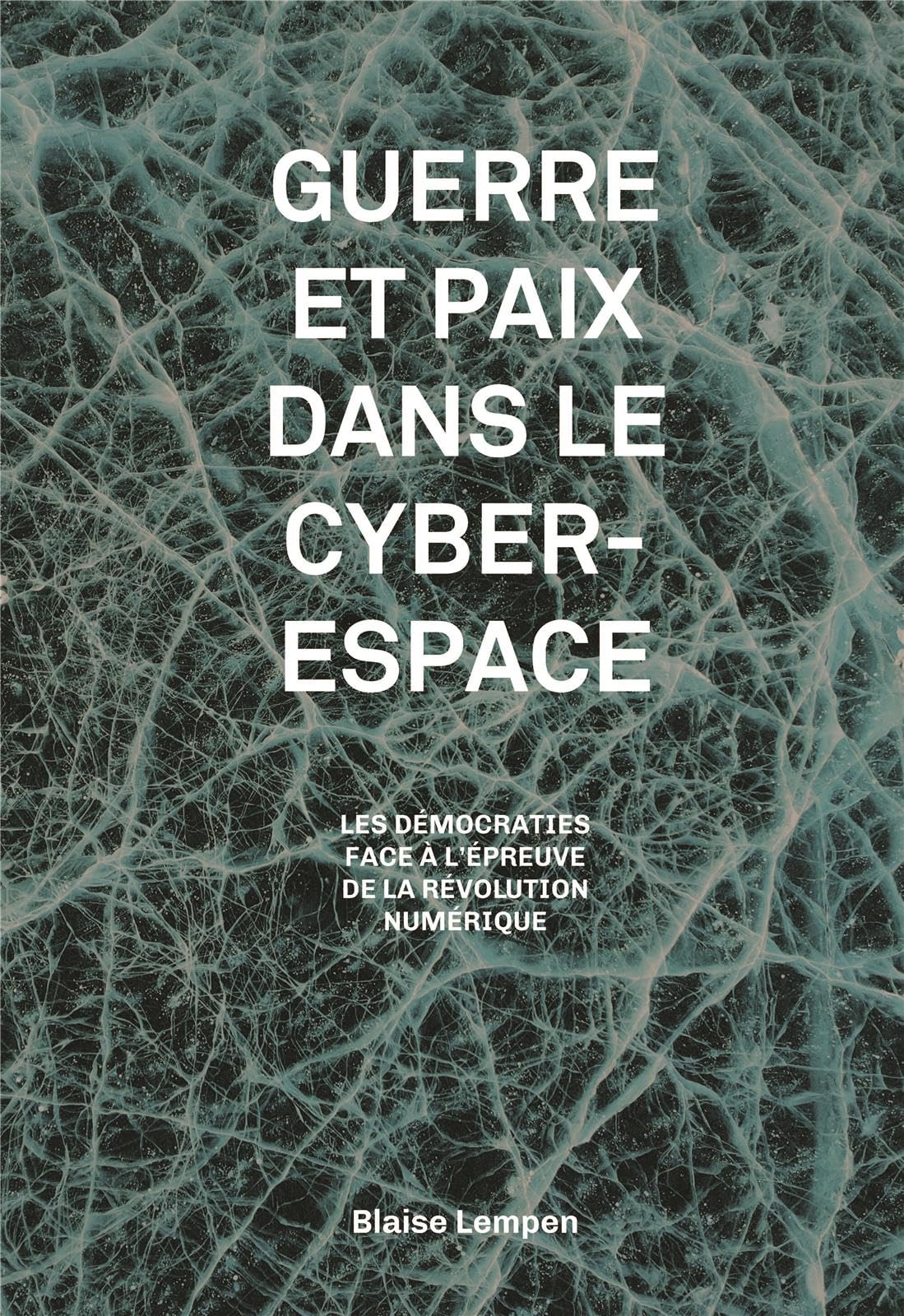 Guerre et paix dans le cyberespace: Les démocraties à l'épreuve de la révolution numérique Politics & History
