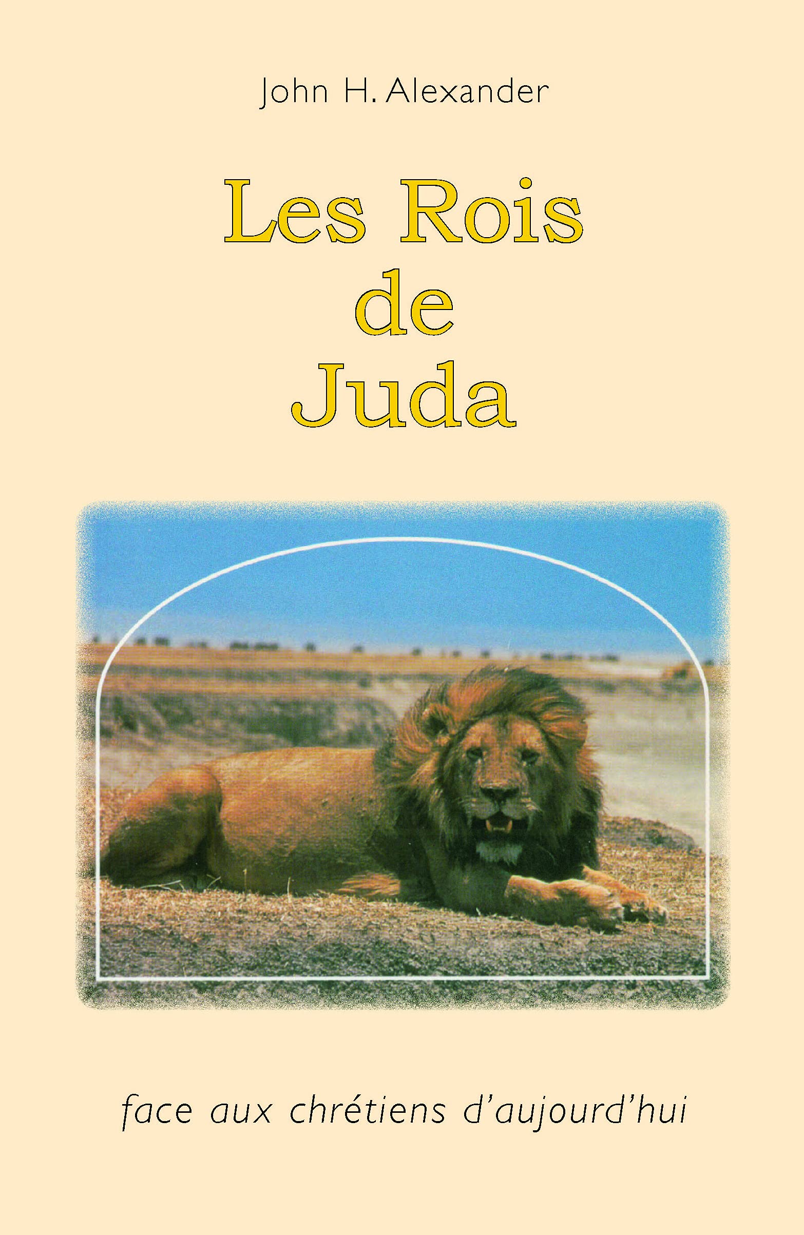 Les rois de Juda : face aux chrétiens d'aujourd'hui Religion & Esotericism