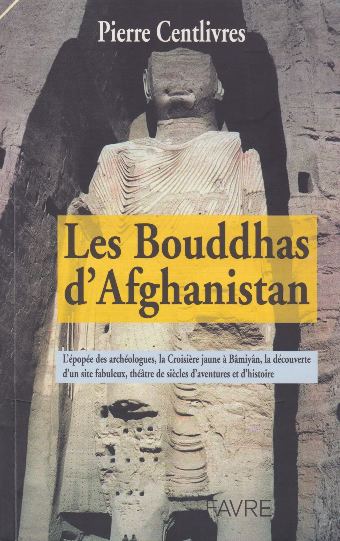 Les bouddhas d'Afghanistan : la formidable histoire de ces géants de pierre et leur tragique disparition Books