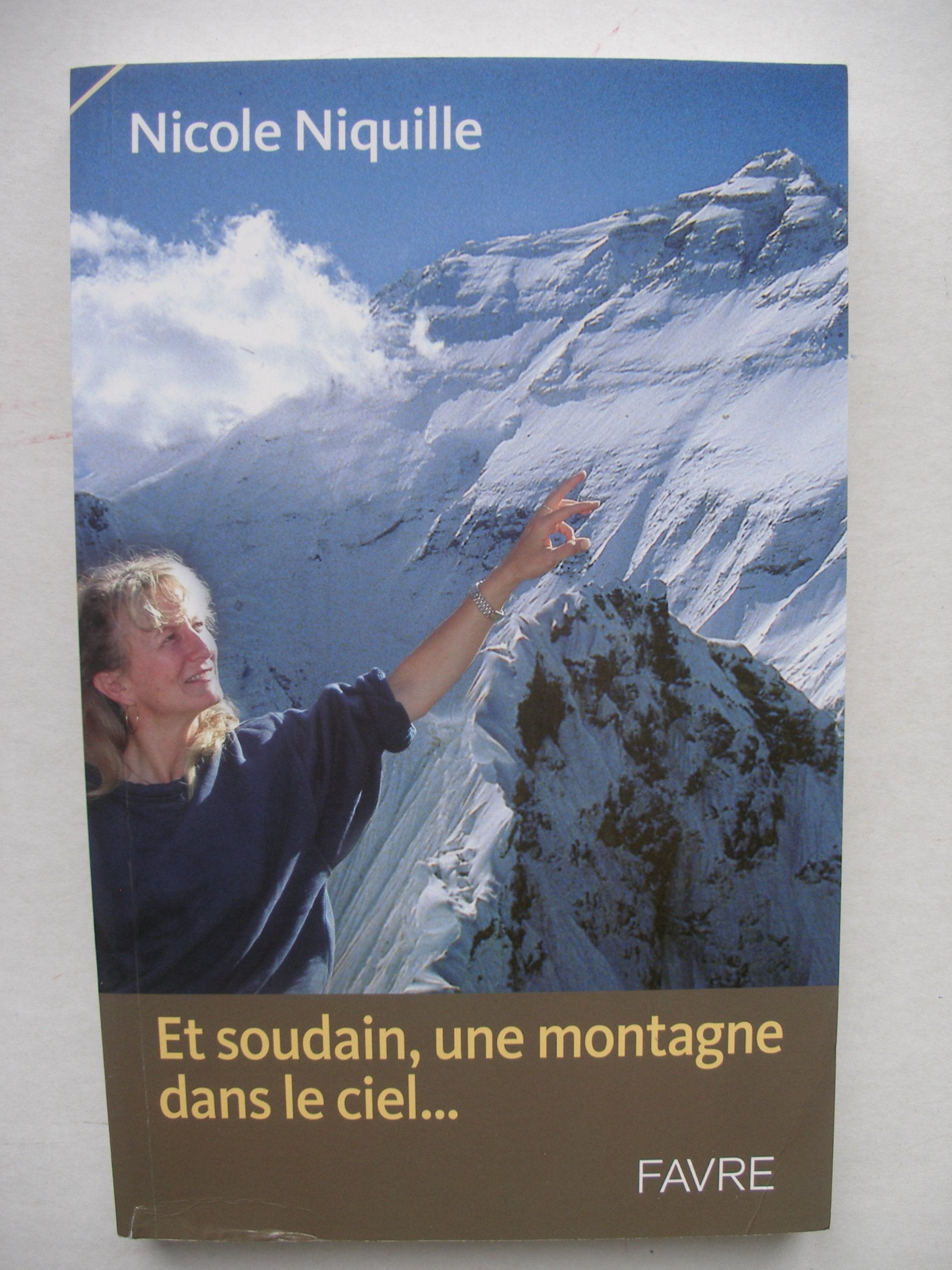 Et soudain, une montagne dans le ciel... book