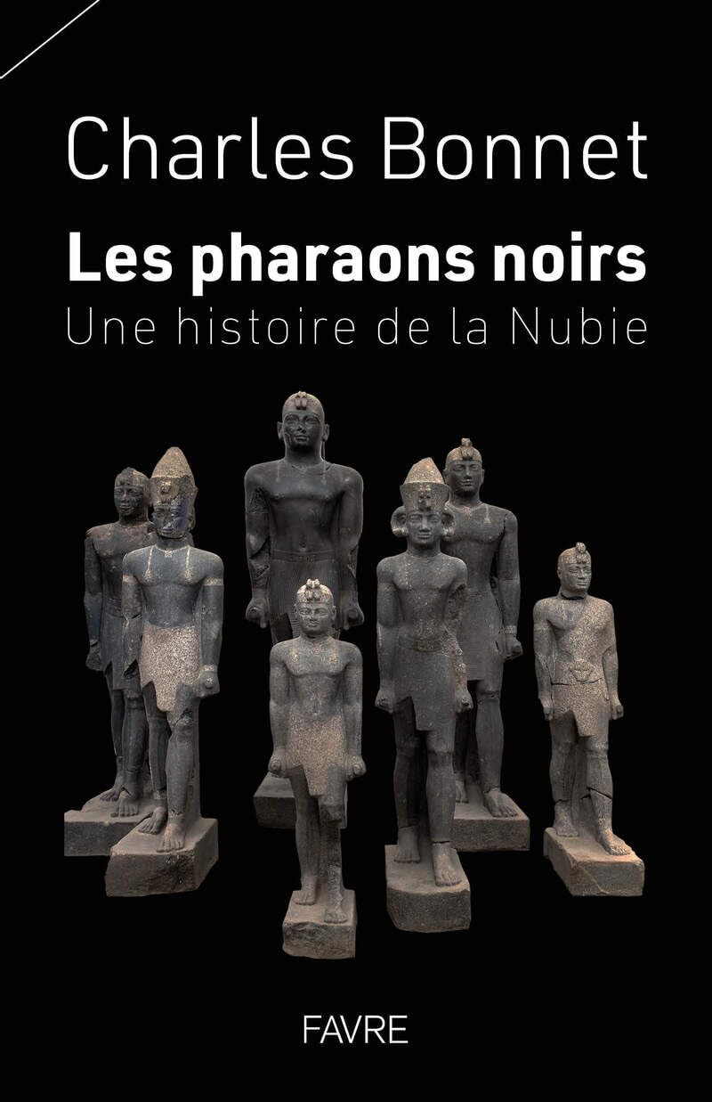 Les pharaons noirs - Une histoire de la Nubie book