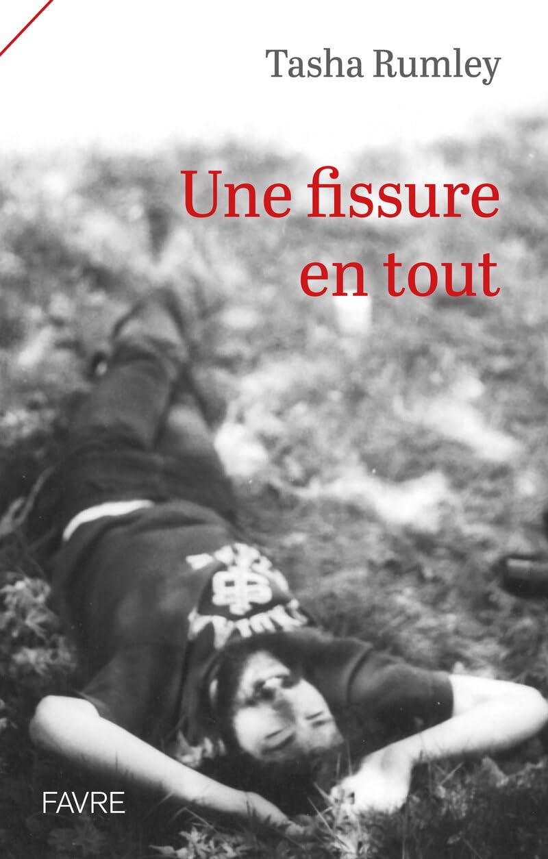 Une fissure en tout book