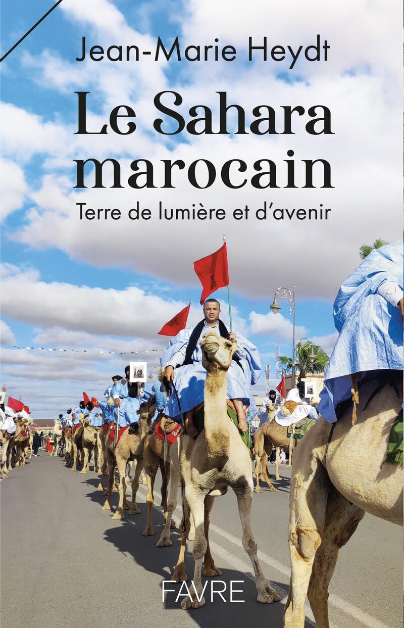Le Sahara marocain - Terre de lumière et d'avenir book