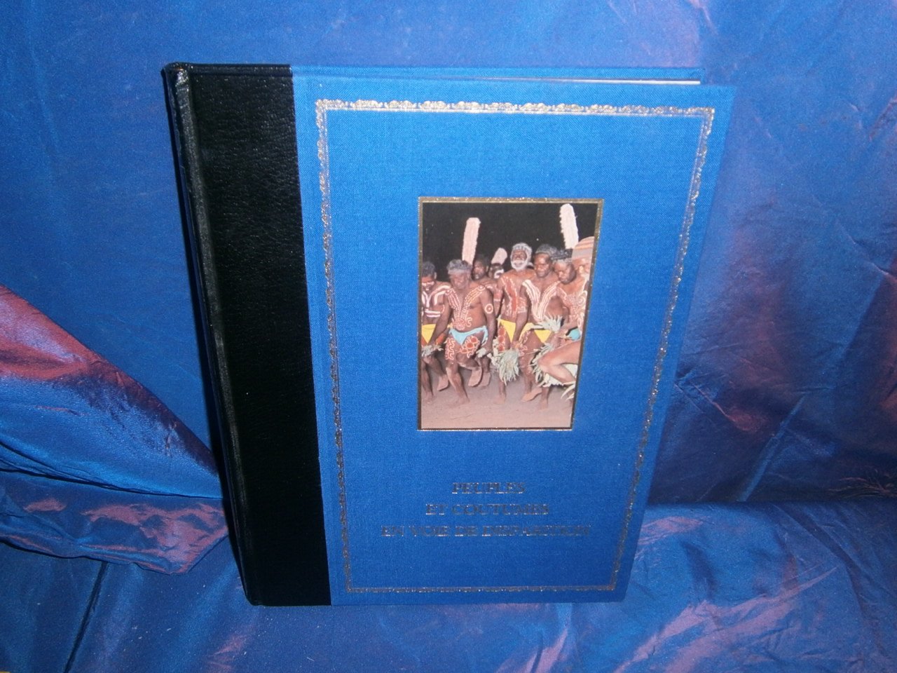 L'Europe du Sud (Peuples et coutumes en voie de disparition) book
