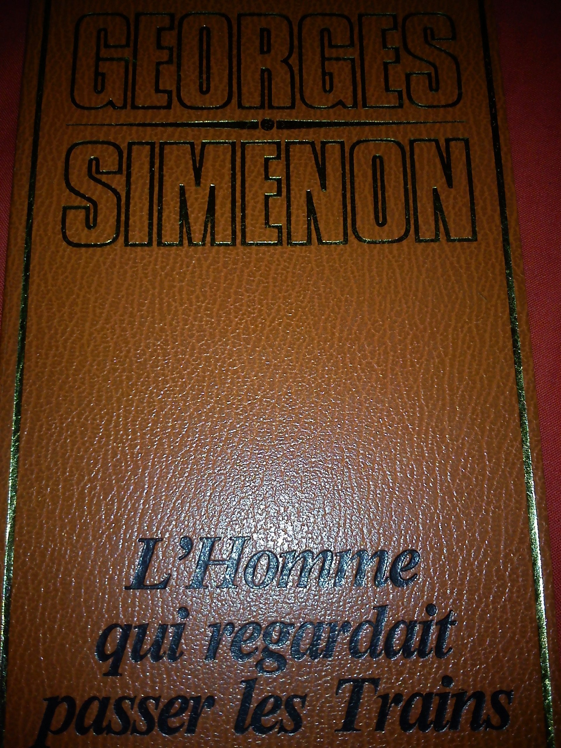 L'Homme qui regardait passer les trains book