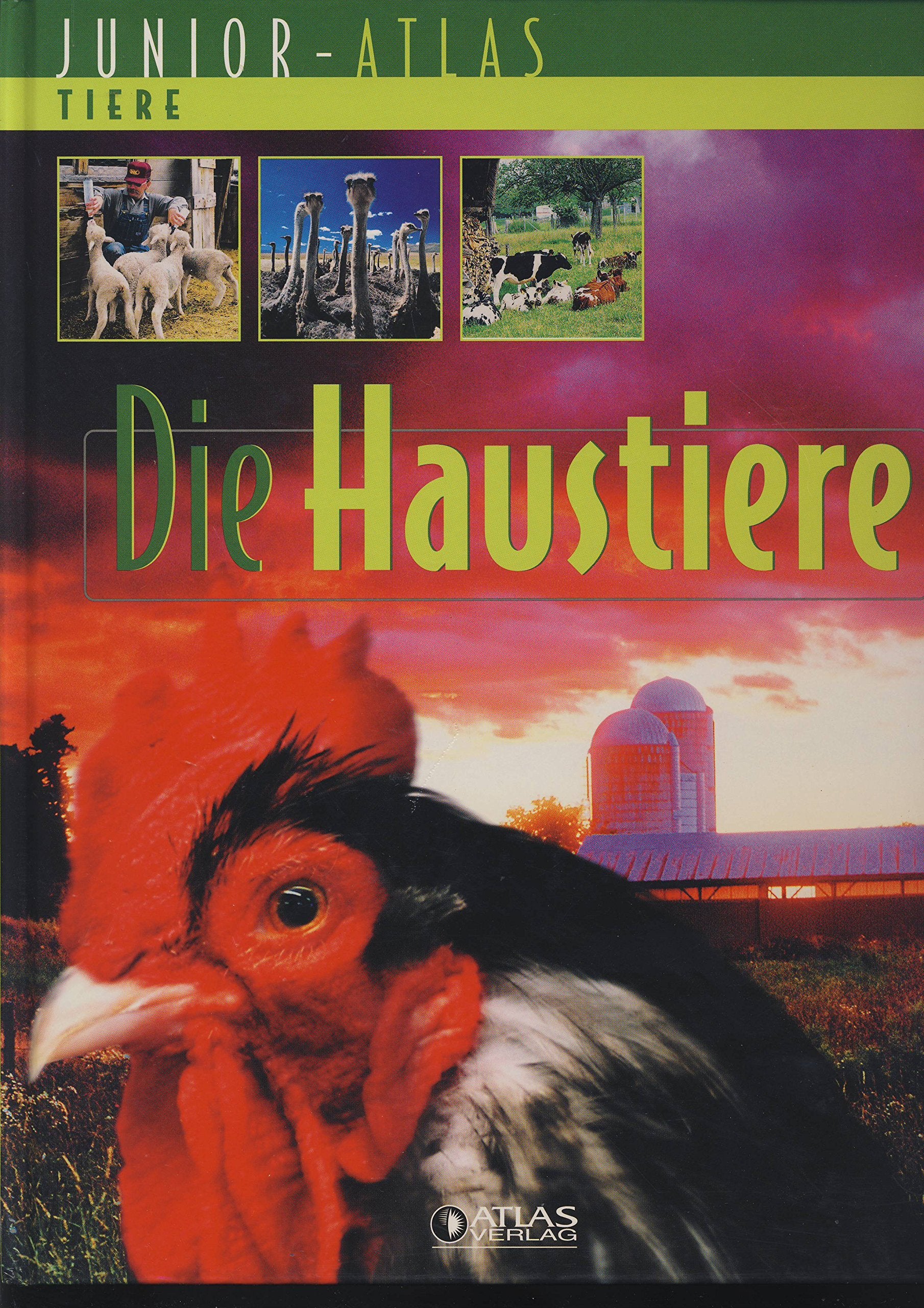 Junior - Atlas Tiere - Die Haustiere Books