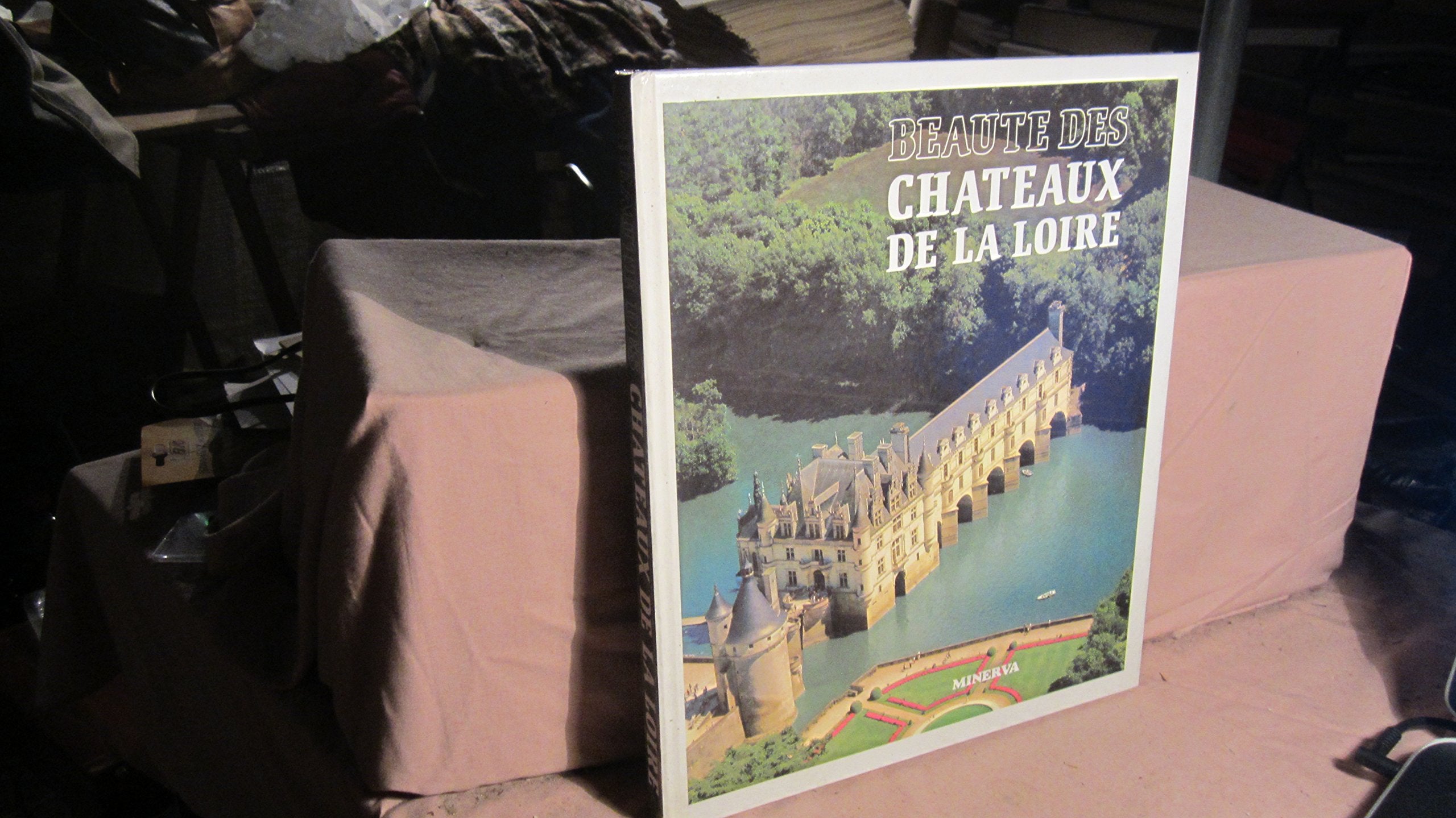 Beautés des châteaux de la Loire Books