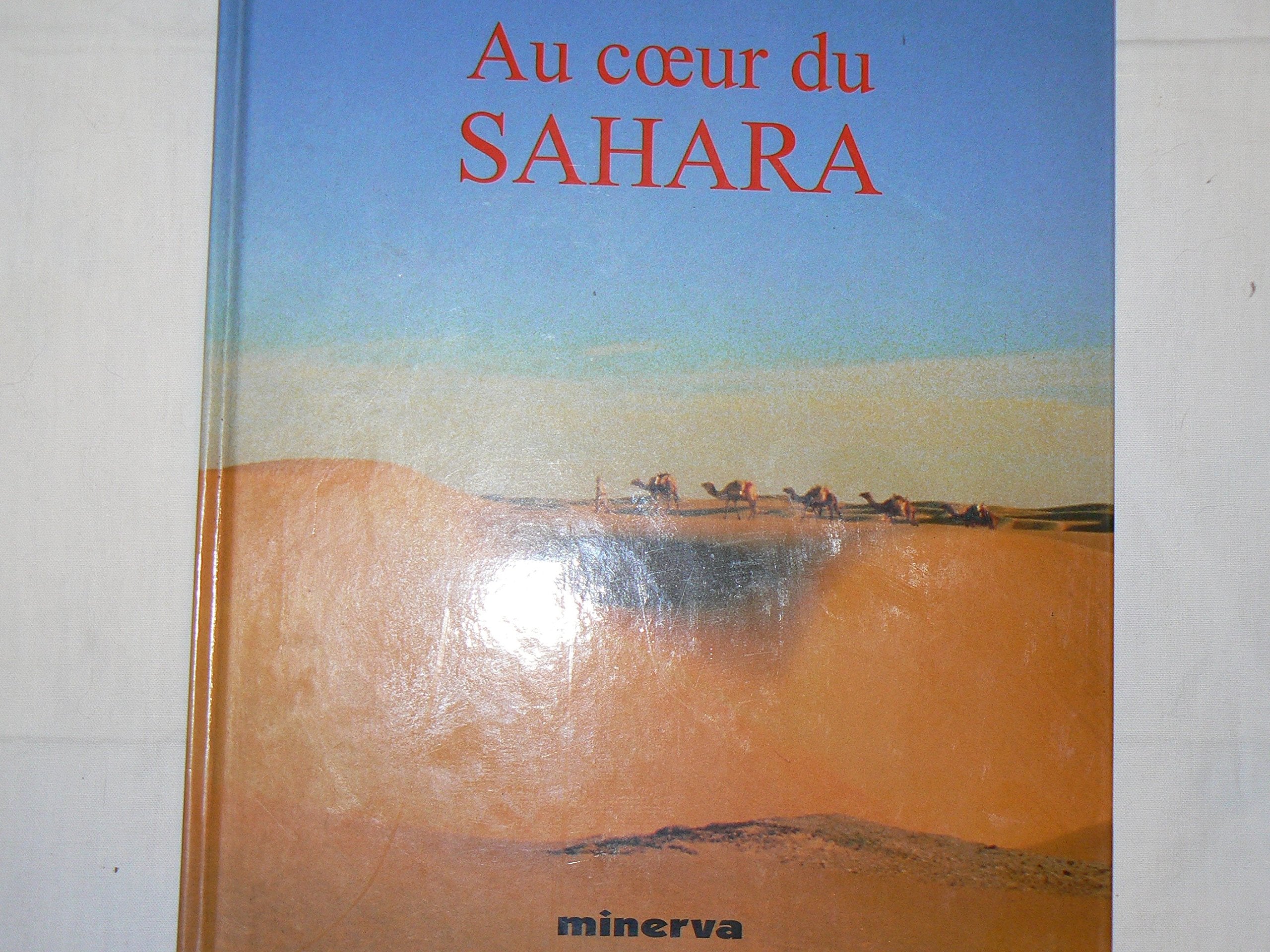Au coeur du Sahara book