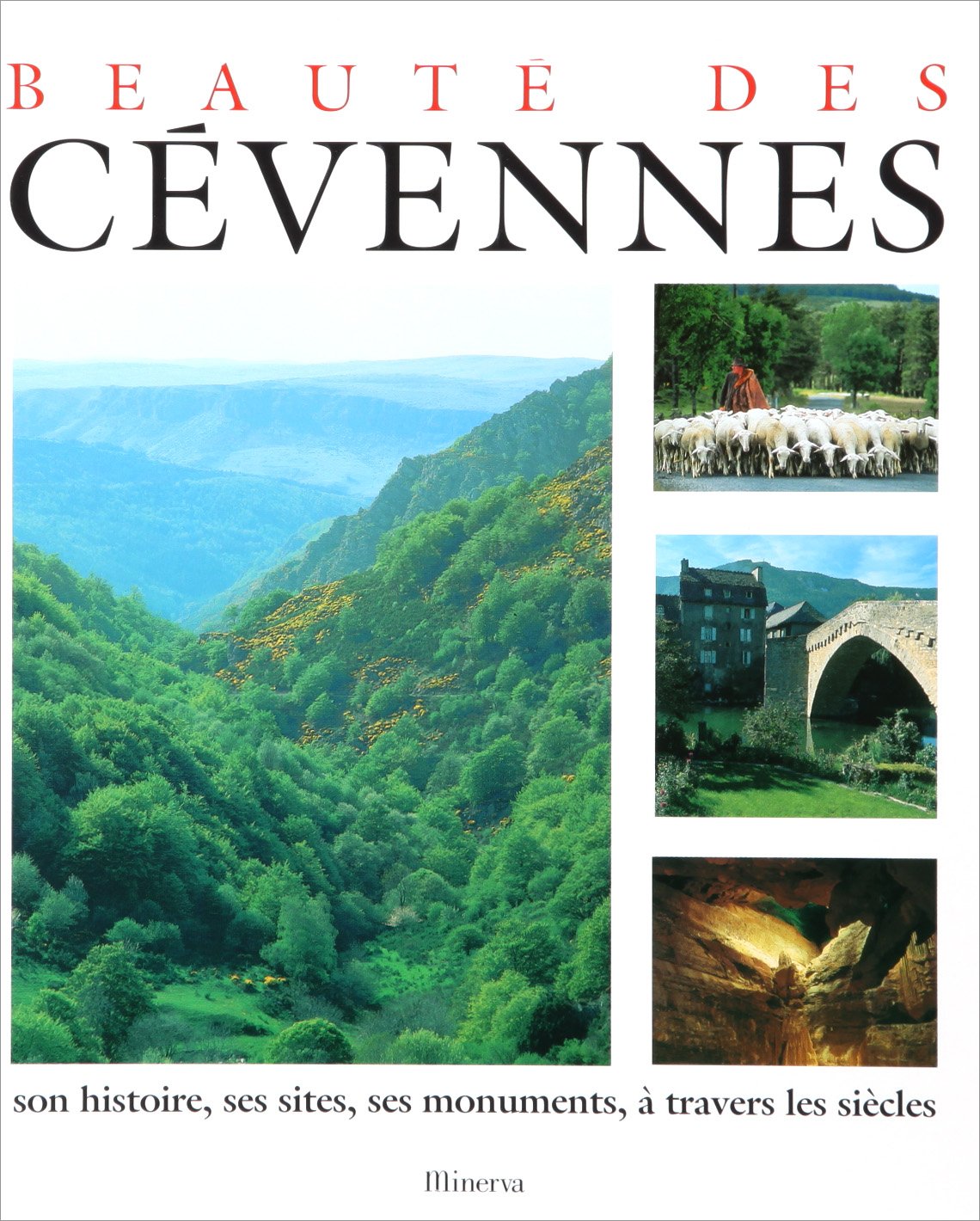 Beauté des Cévennes : Son histoire, ses sites, ses monuments, à travers les siècles book