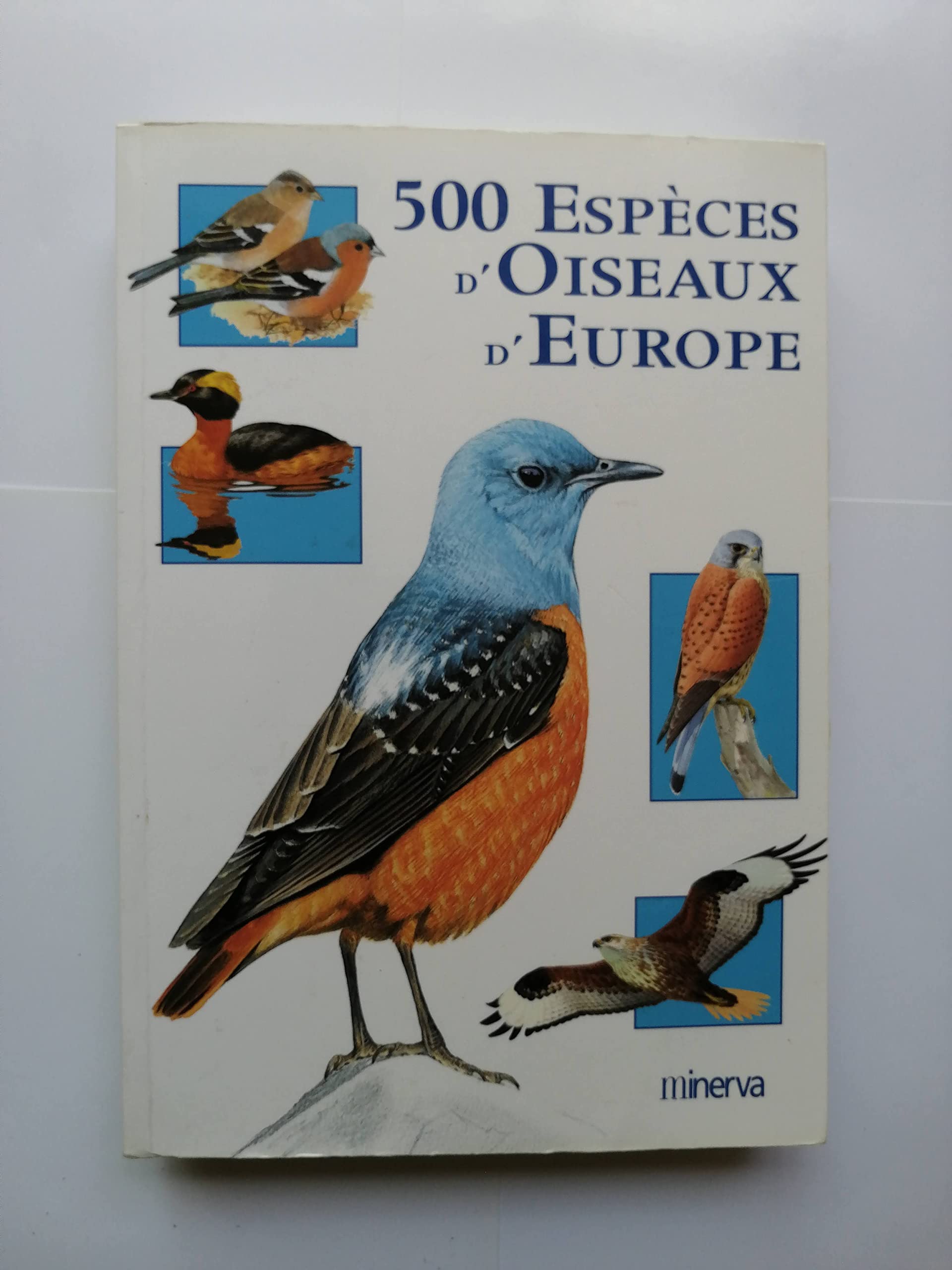 500 espèces d'oiseaux d'Europe. Avec CD audio Books