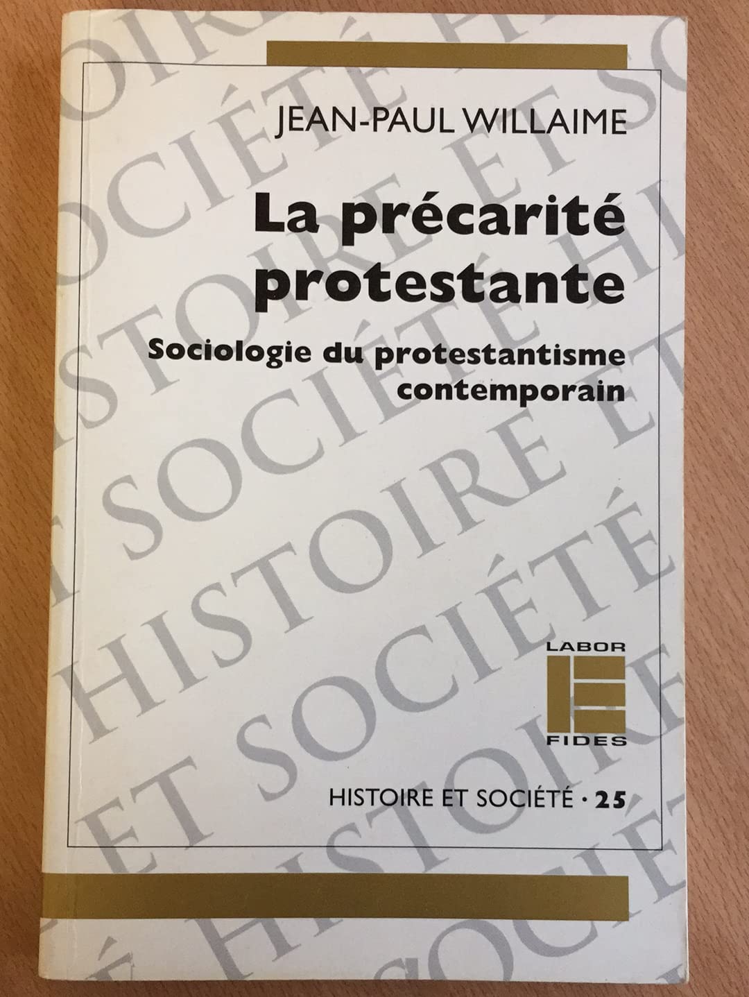 La Précarité protestante : sociologie du protestantisme contemporain Philosophy