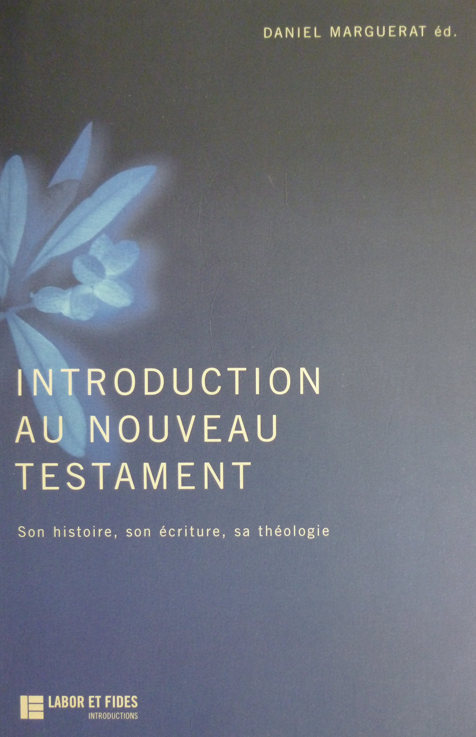 Introduction Au Nouveau Testament. Son Histoire, Son Ecriture, Sa Theologie Books