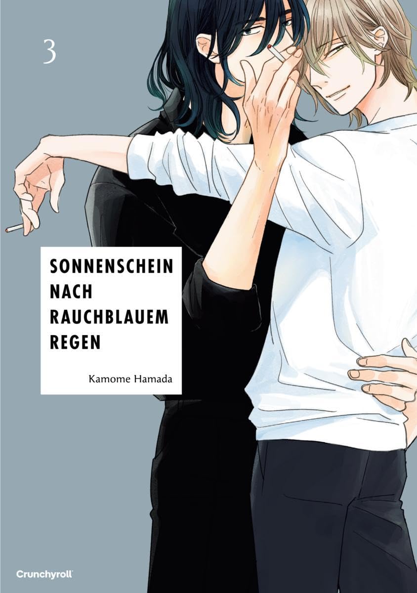 Sonnenschein nach rauchblauem Regen - Band 3 Poetry