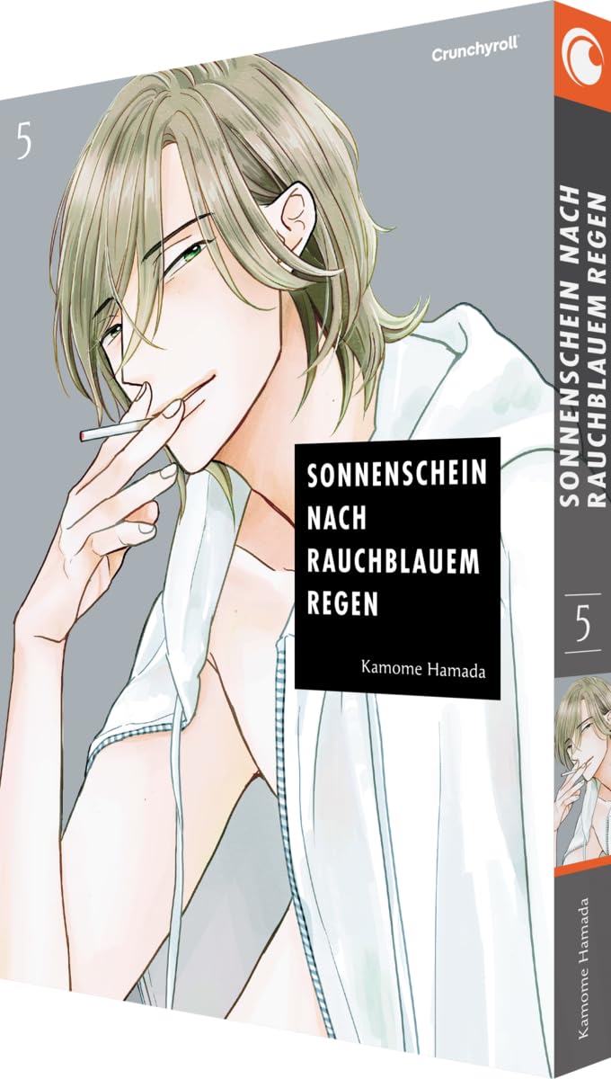 Sonnenschein nach rauchblauem Regen - Band 5 Poetry