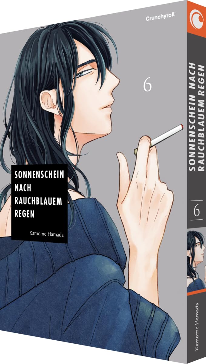 Sonnenschein nach rauchblauem Regen - Band 6 Poetry