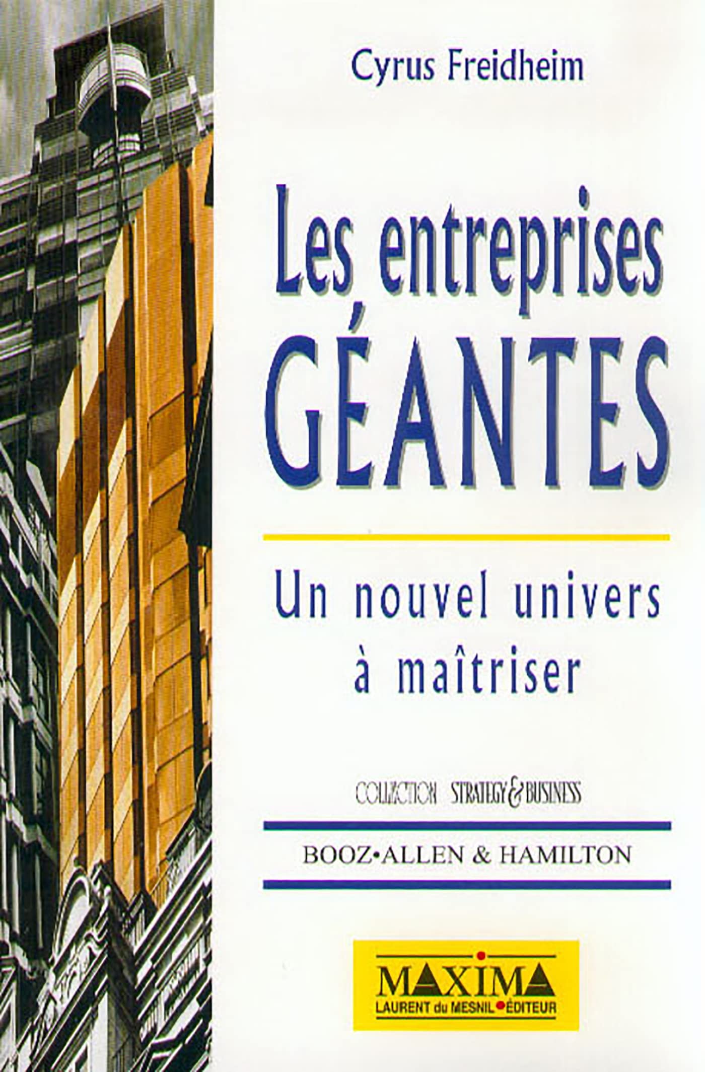 Les Entreprises géantes. Un nouvel univers à maîtriser book