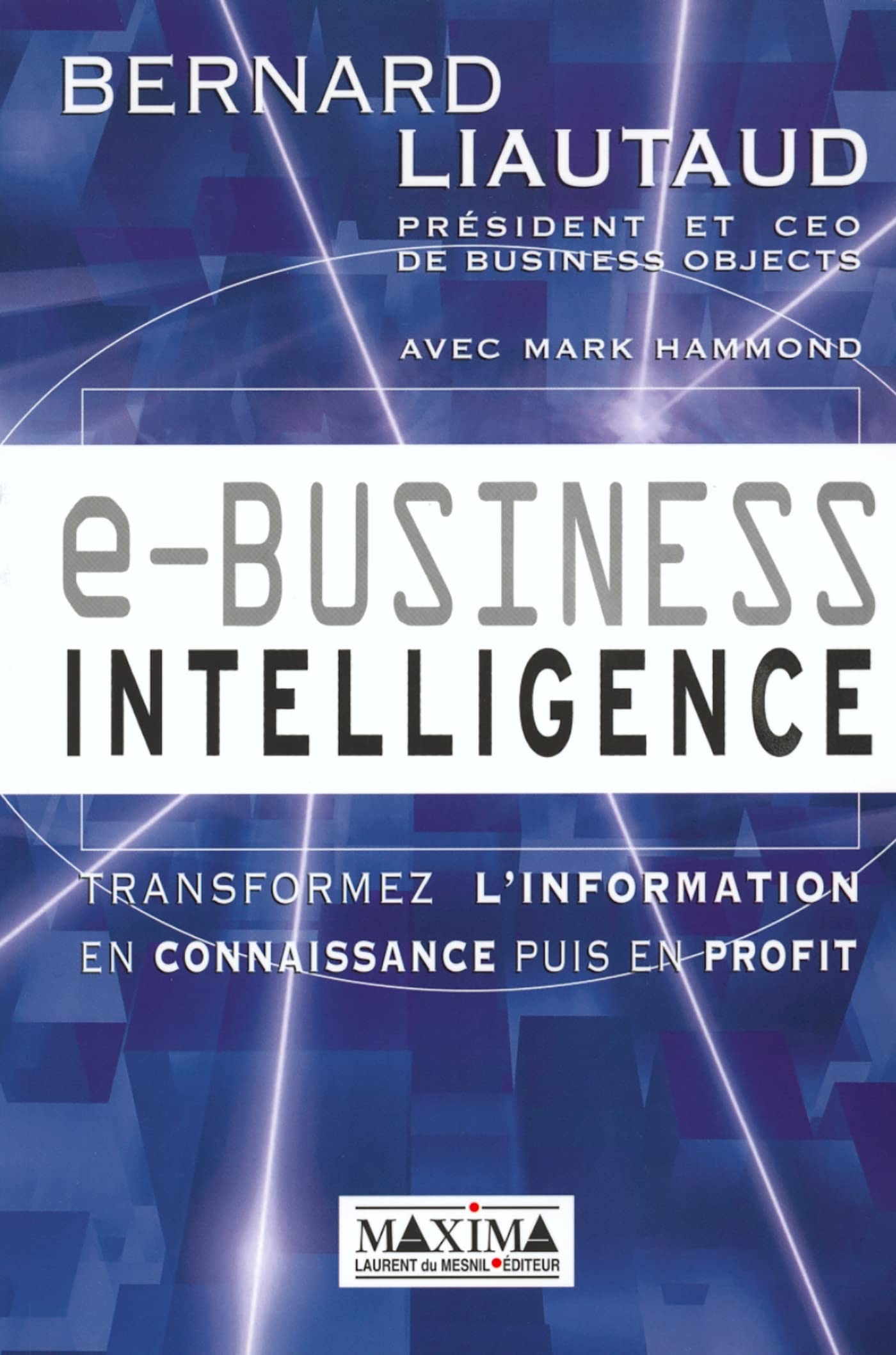 e-business intelligence : transformez l'information en connaissance puis en profit book