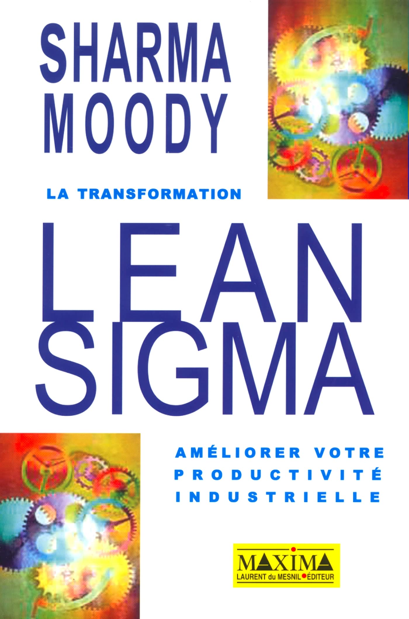 La Transformation Leansigma : Améliorer la productivité book