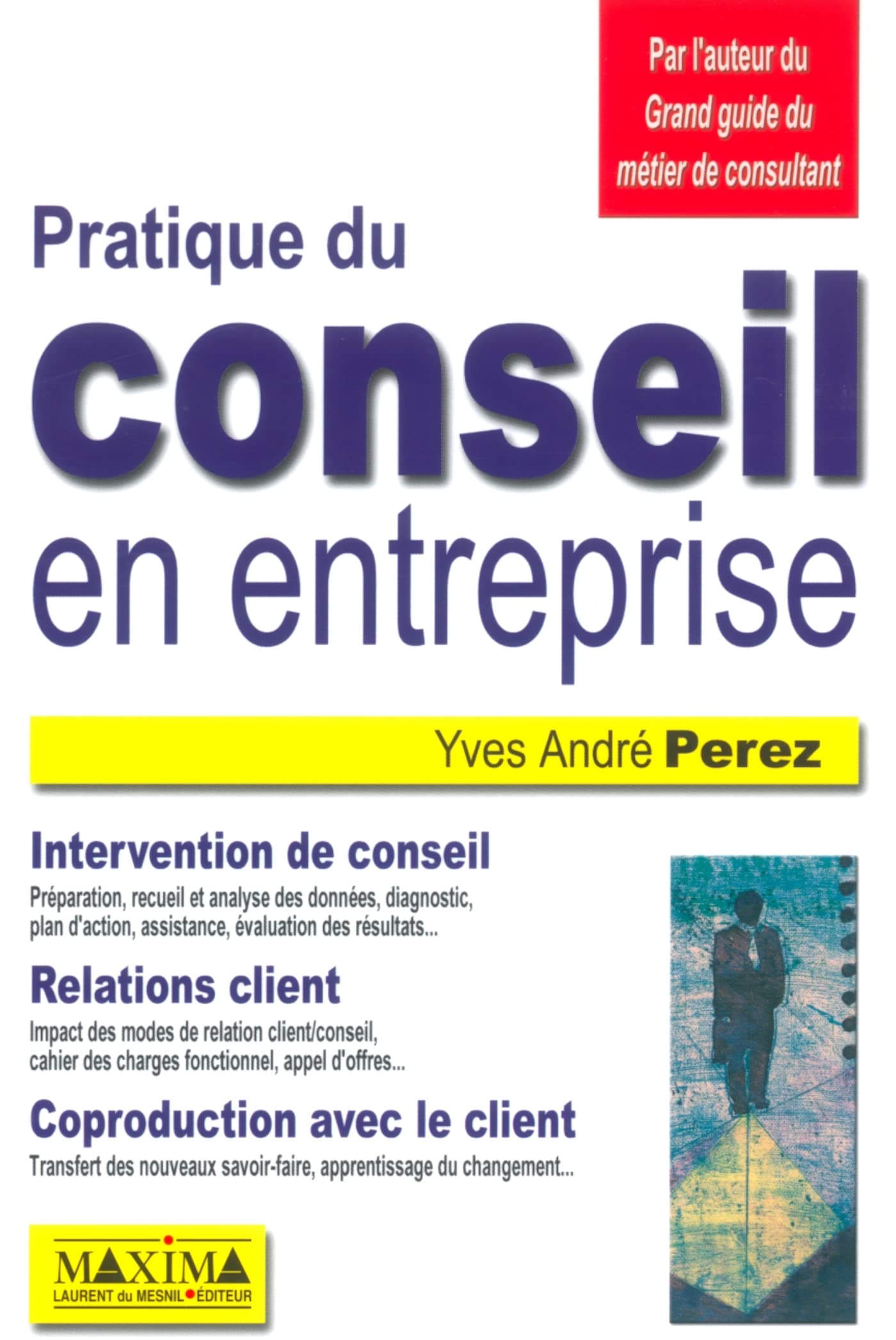 Pratique du conseil en entreprise book